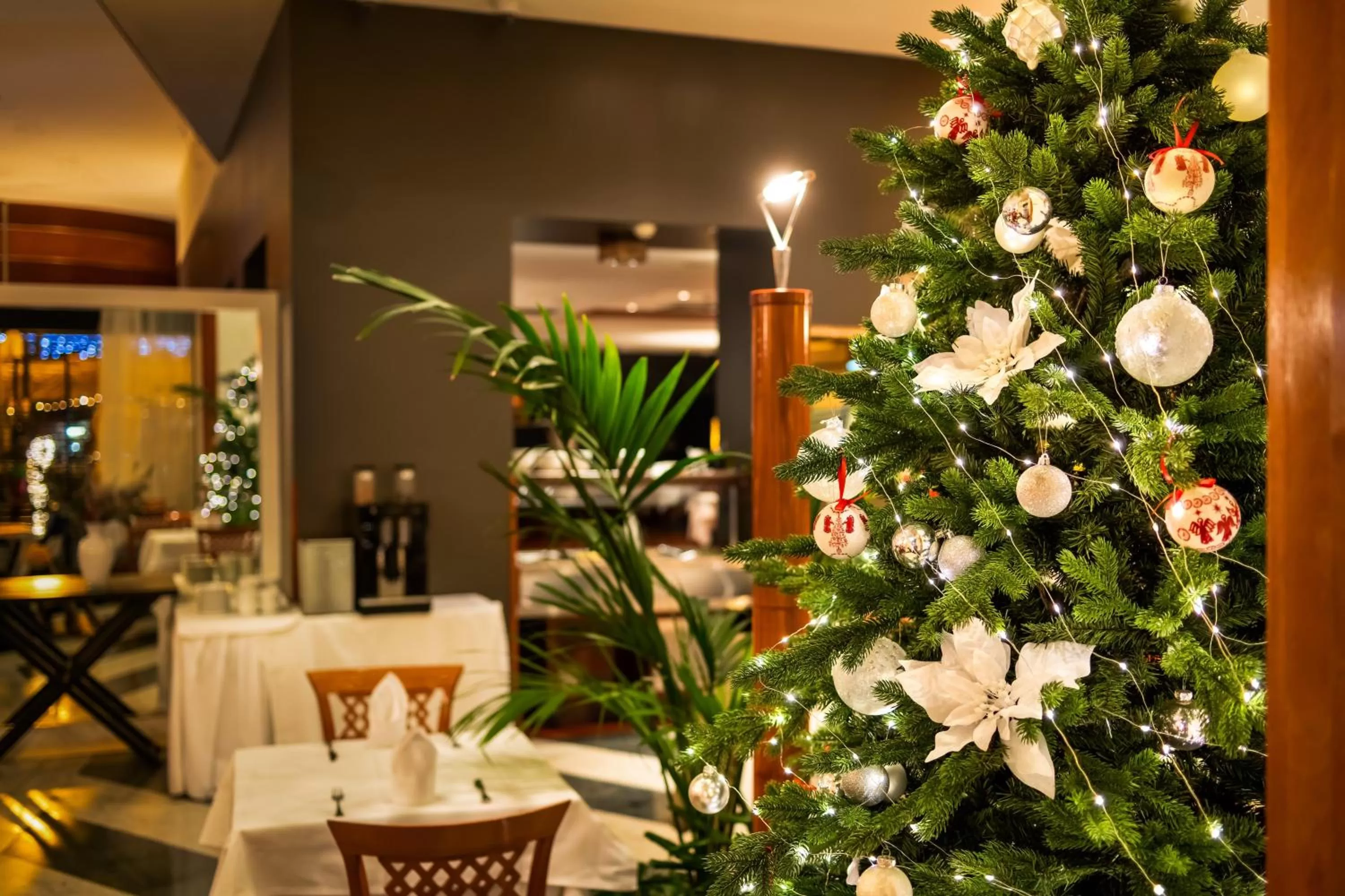 Restaurant/places to eat in Hotel Dubrovnik