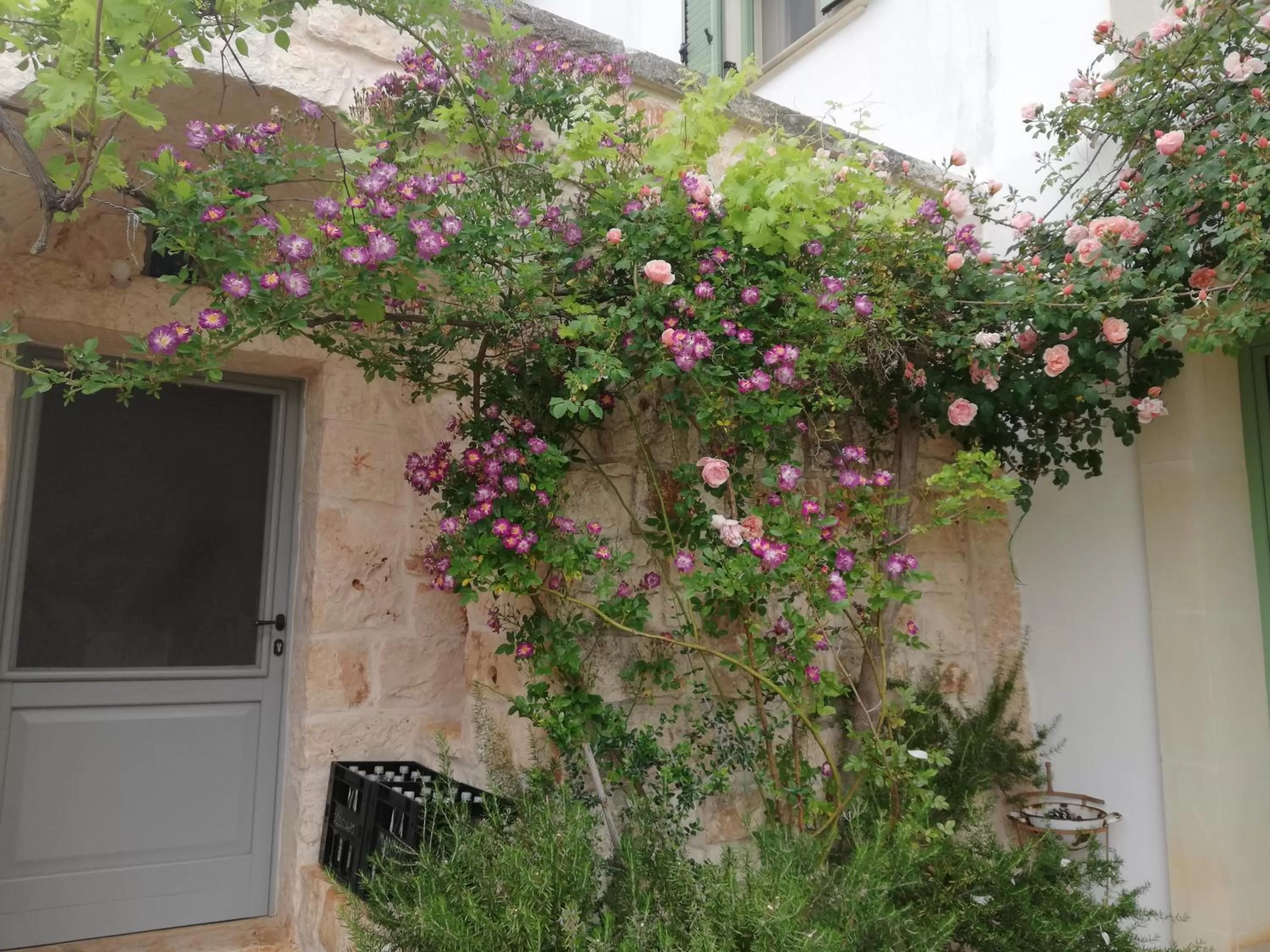 B&B Giovannarolla Green House