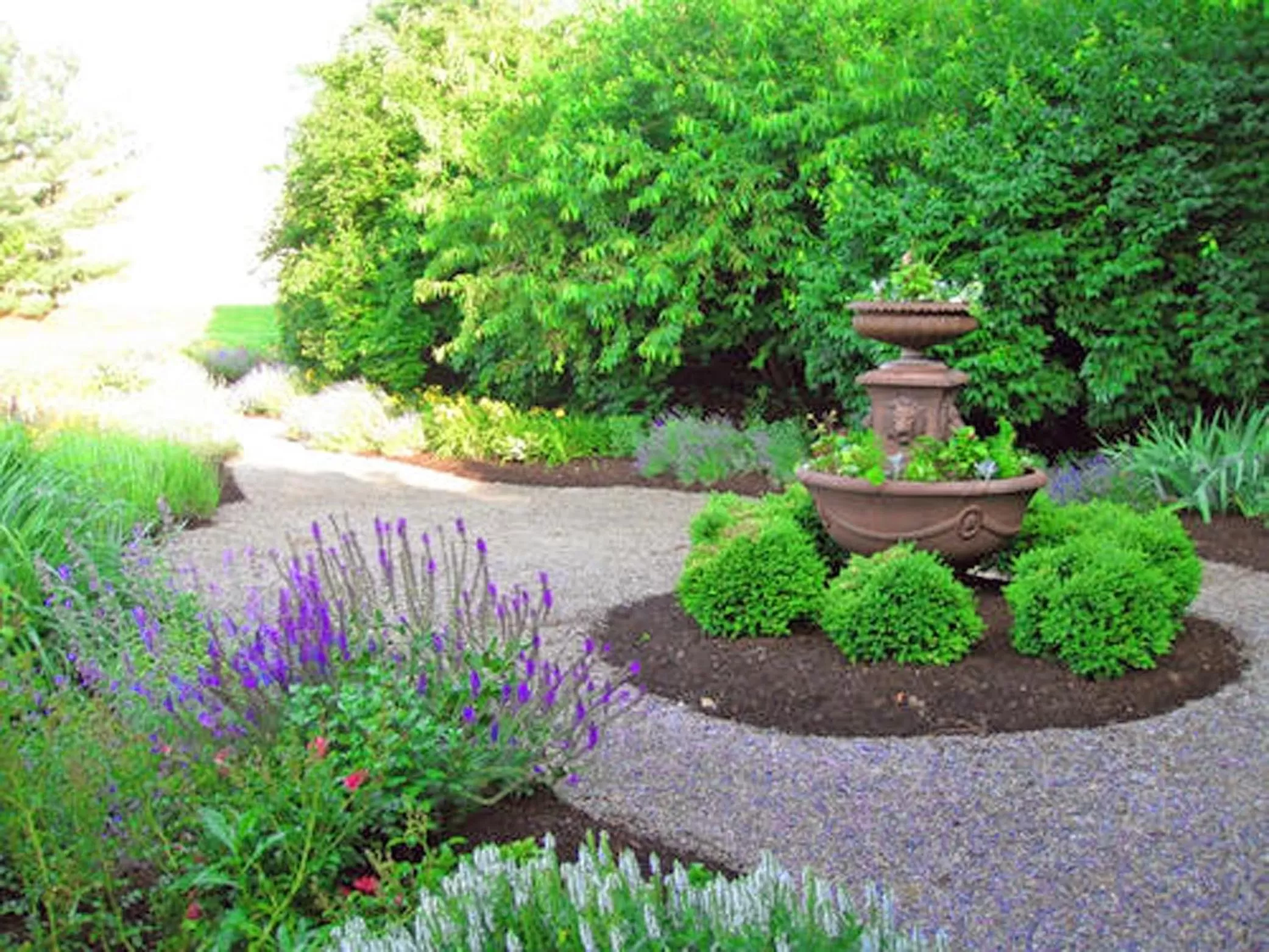 Garden in Kirkwood Inn