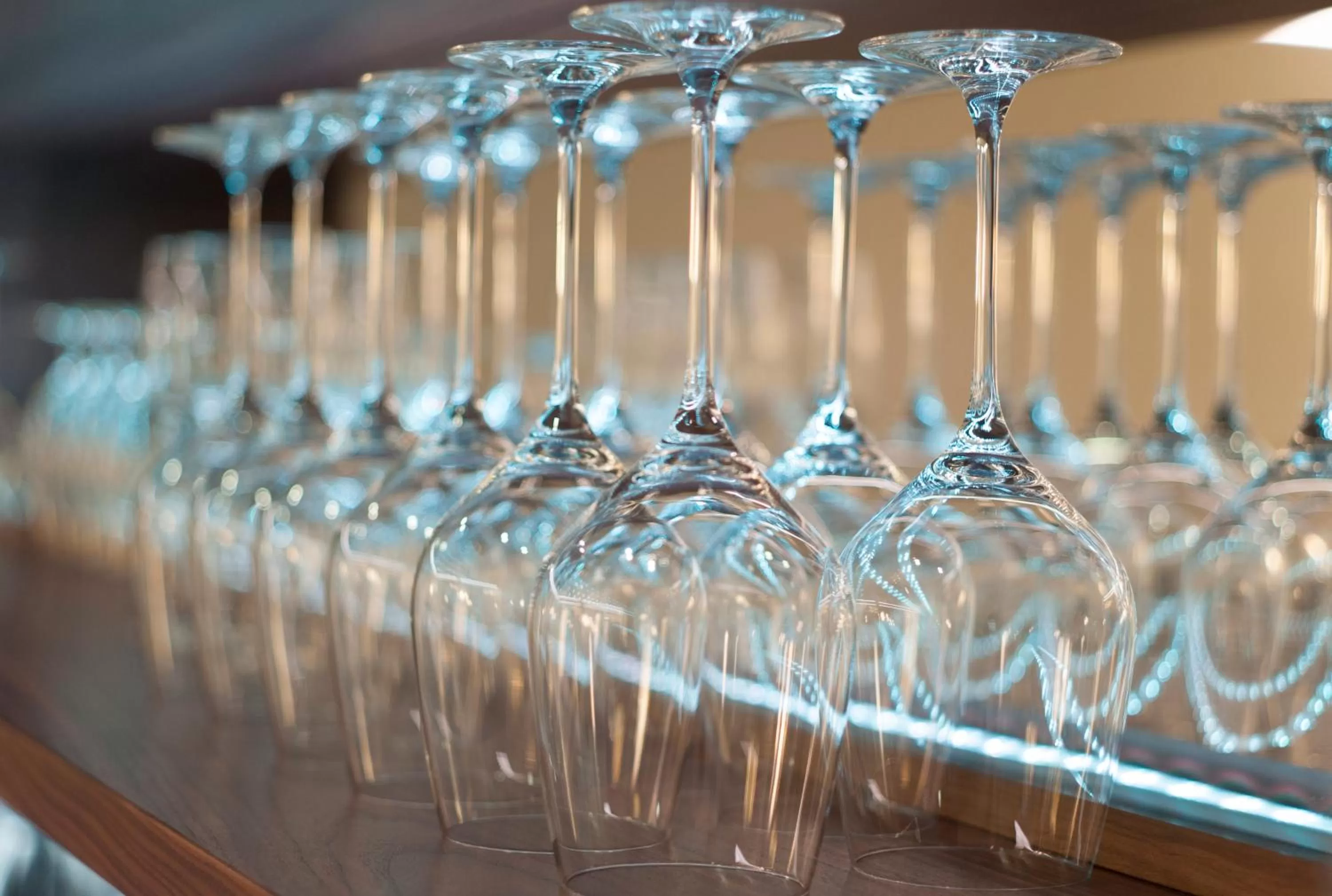 Restaurant/places to eat in WELLNESS HOTEL LÖWE