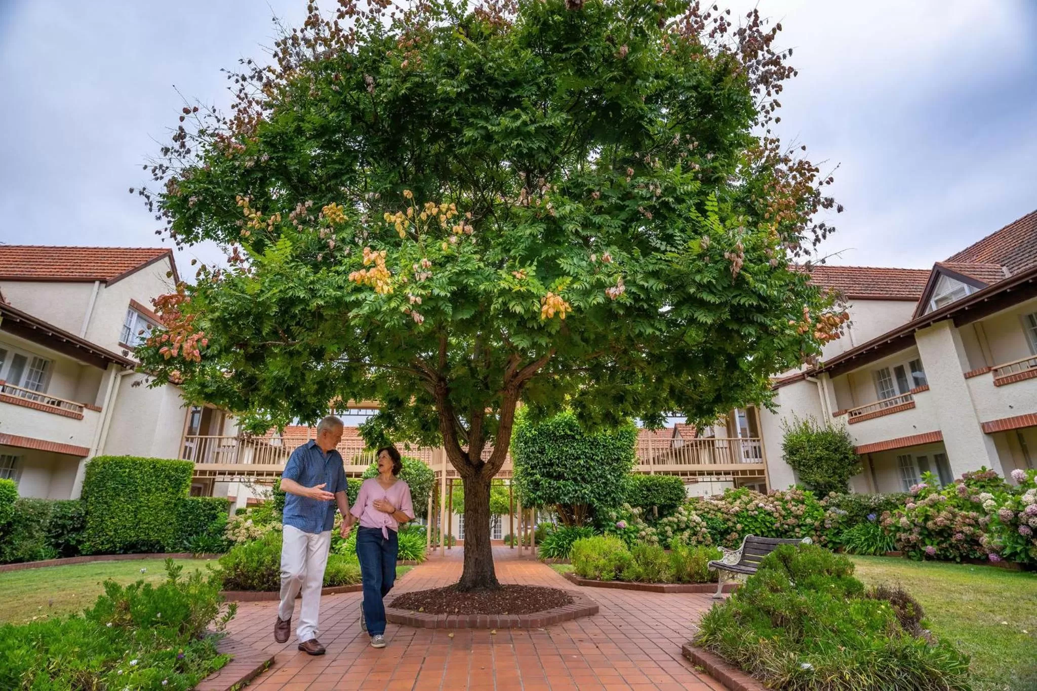 Garden in Mercure Canberra