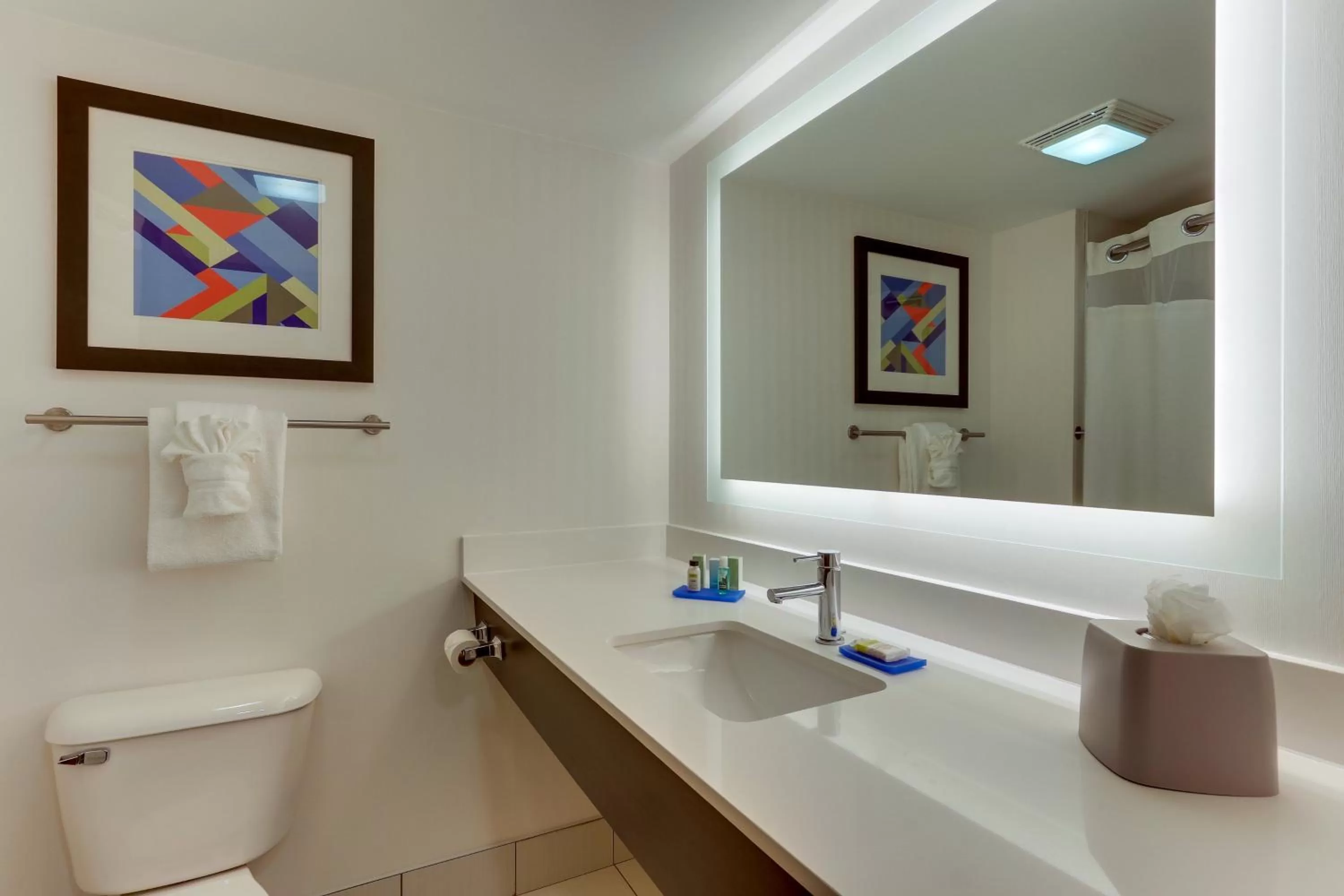 Photo of the whole room in Holiday Inn Express & Suites Troy by IHG