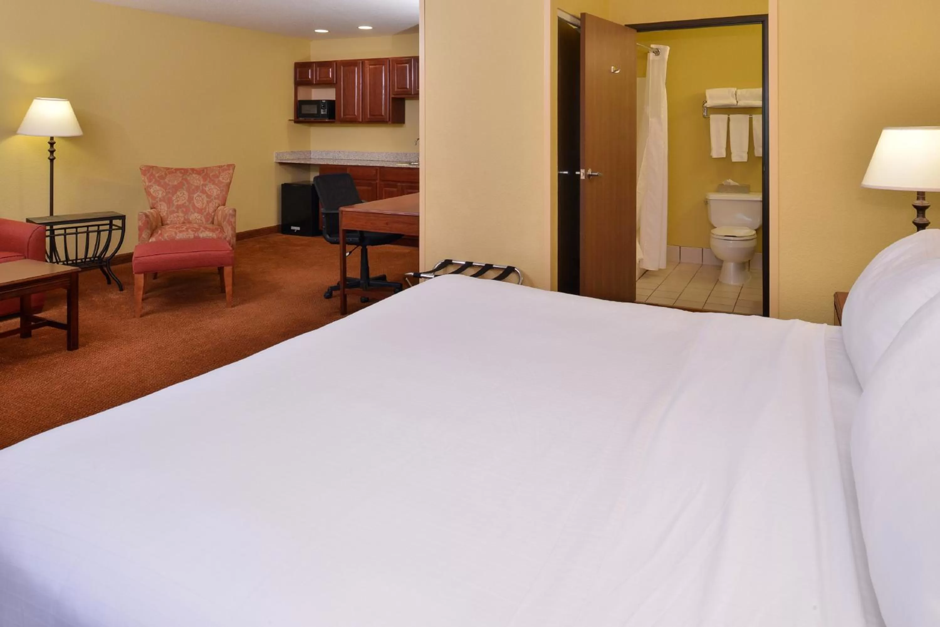 One-Bedroom King Suite with Sofa Bed in Holiday Inn Stevens Point - Convention Center by IHG