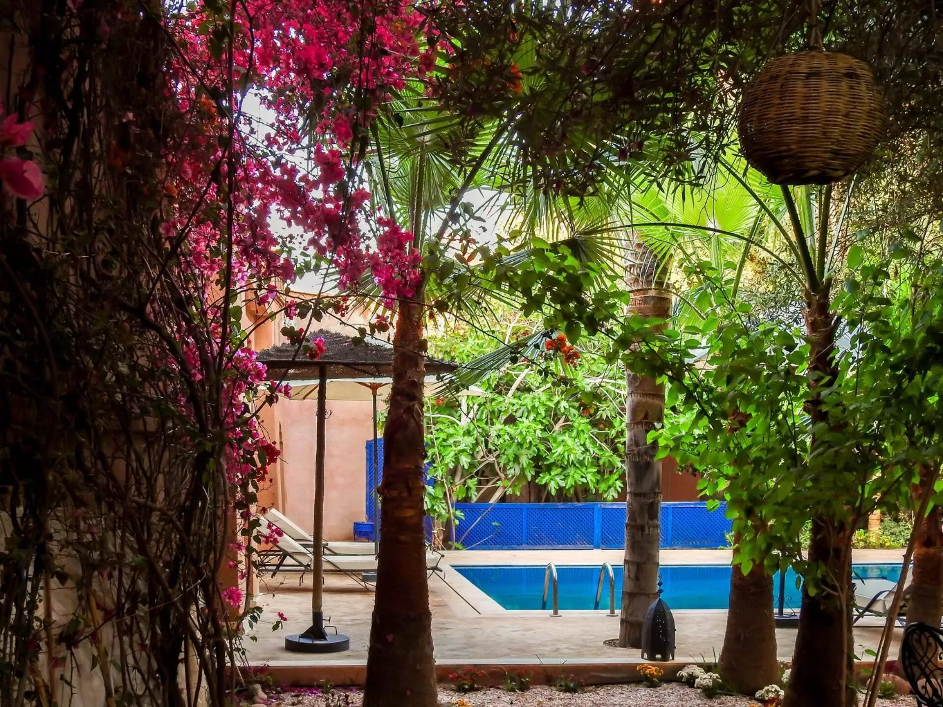 Garden, Swimming Pool in Le Bleu House