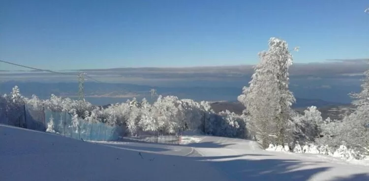 Other in Green Park Hotel & Residence