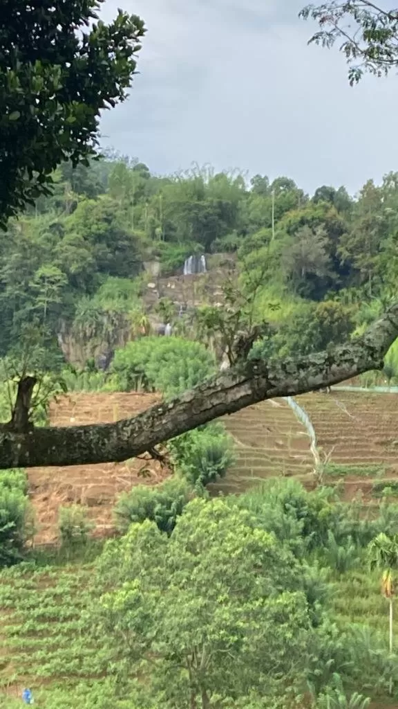 Natural Landscape in Silent Nest