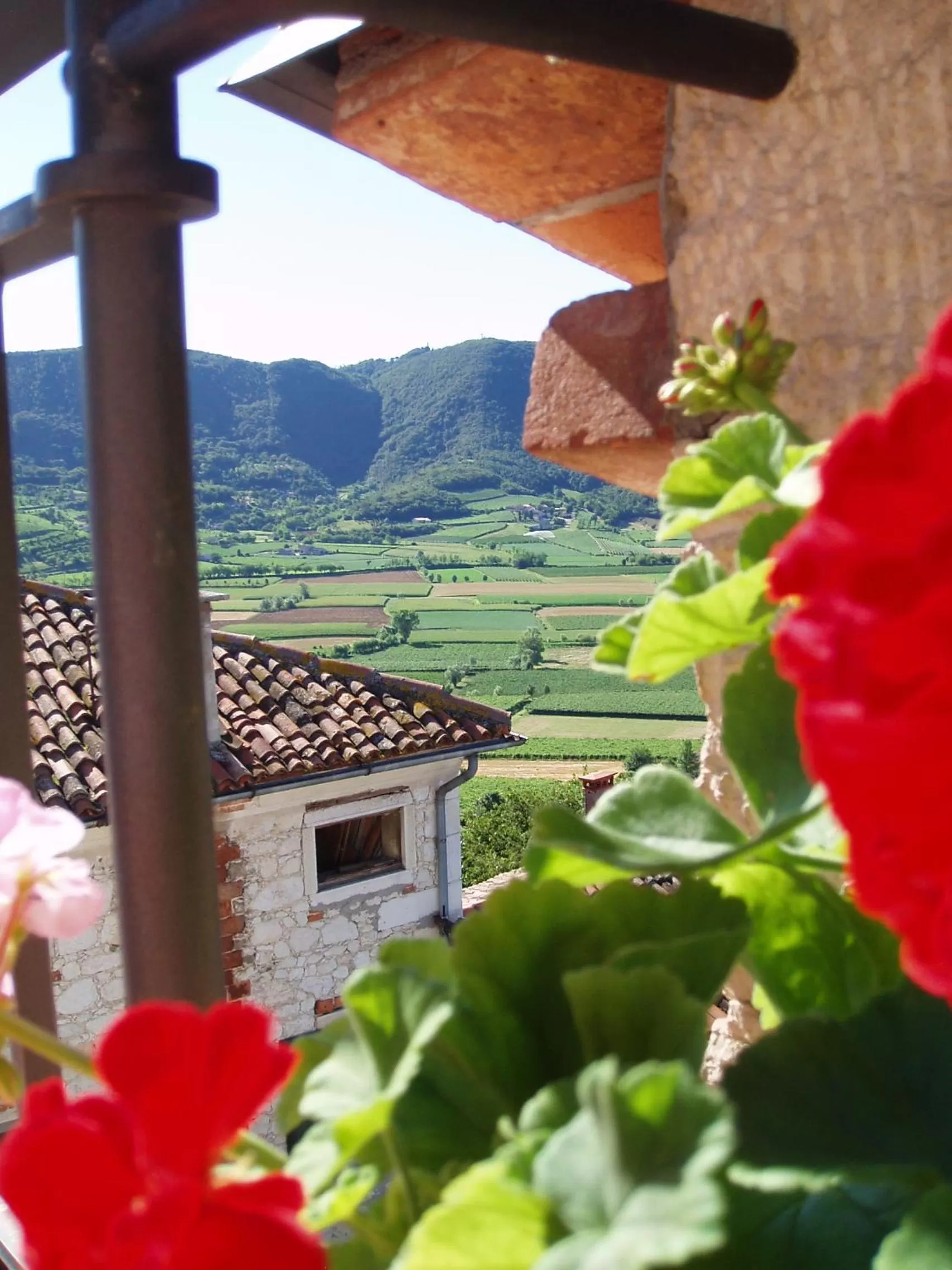 View (from property/room) in La Quiete Bed & Breakfast