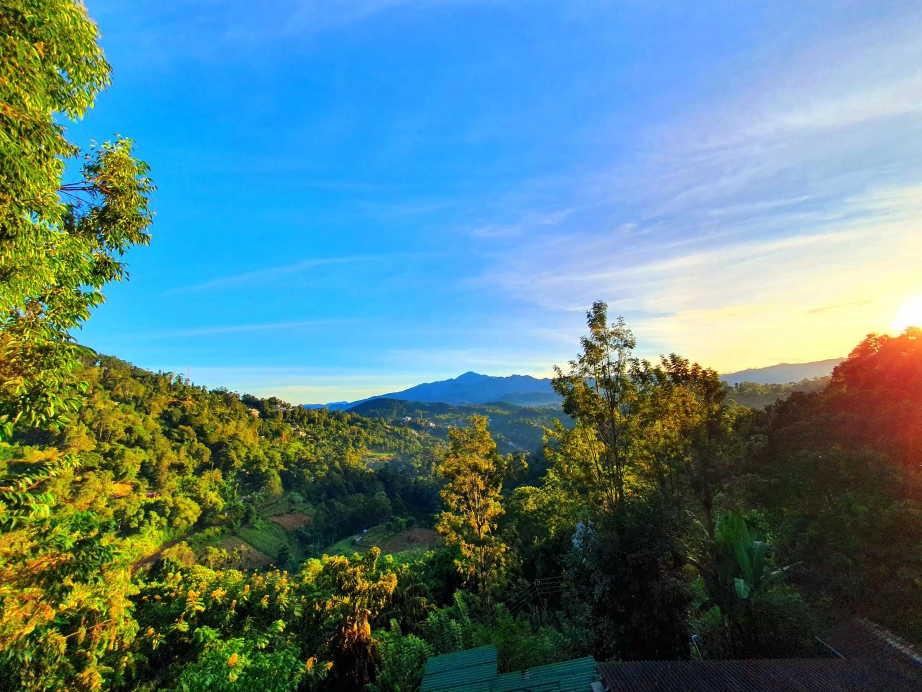 Natural Landscape in Guest Inn Avendra