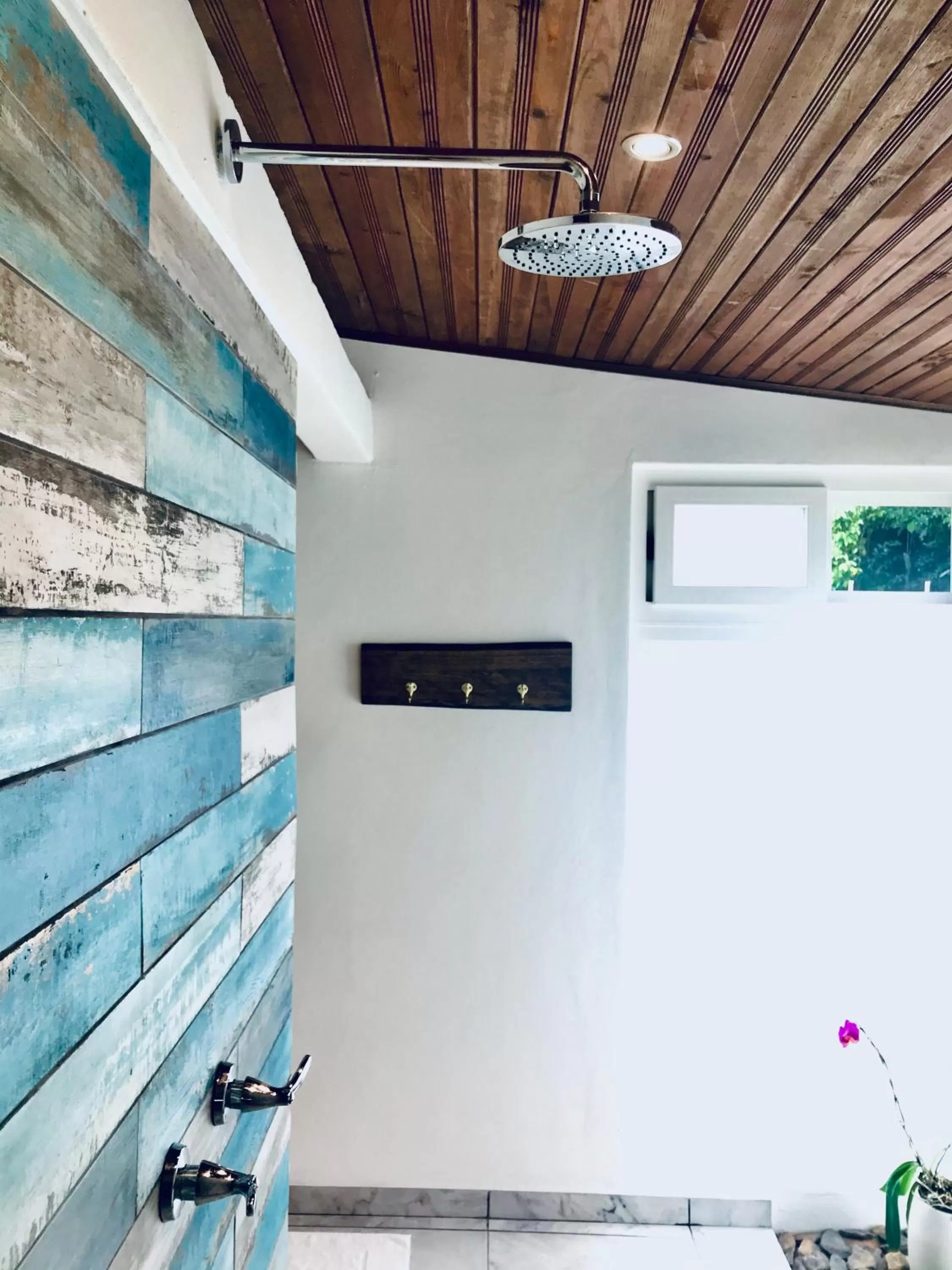 Shower, TV/Entertainment Center in Sattva Land