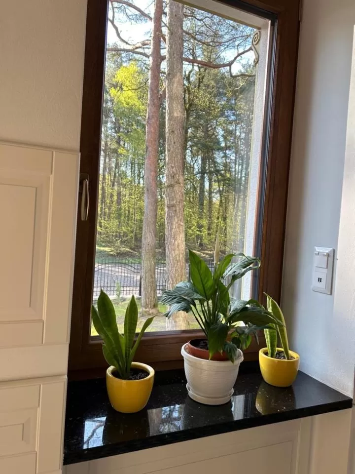 Leśna Residence & SPA