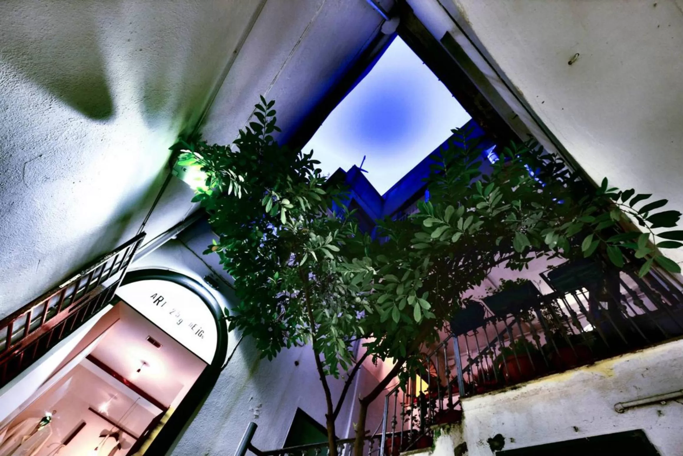 Patio in Casa Retro'