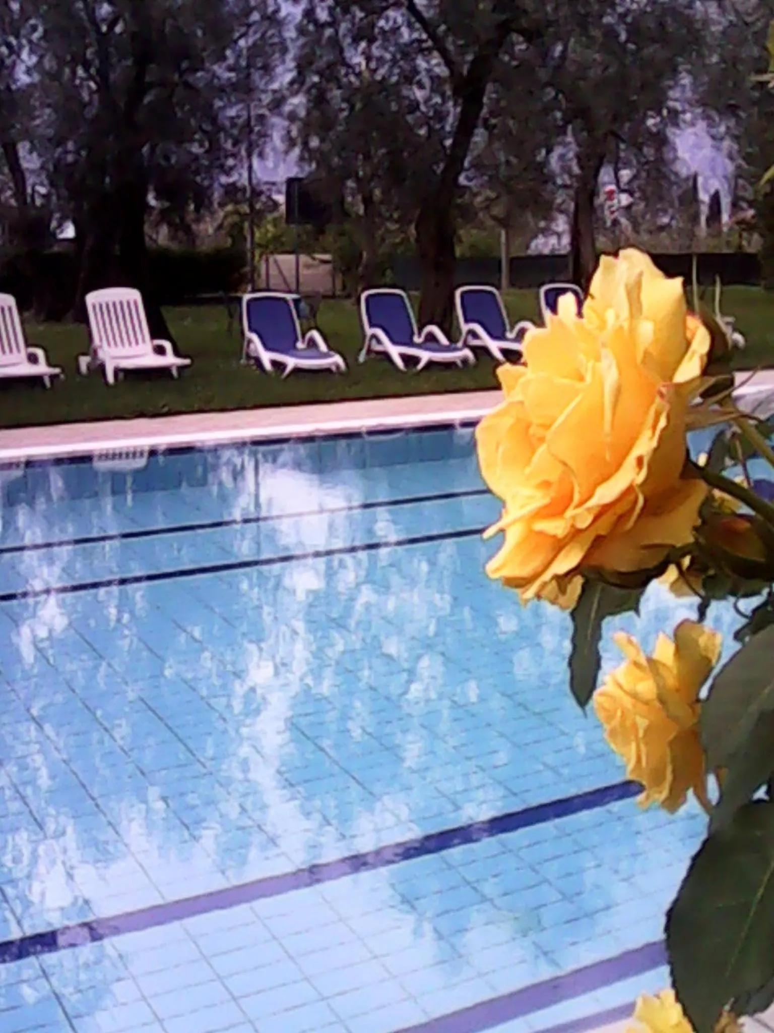 Swimming pool in Garnì Casa Rabagno