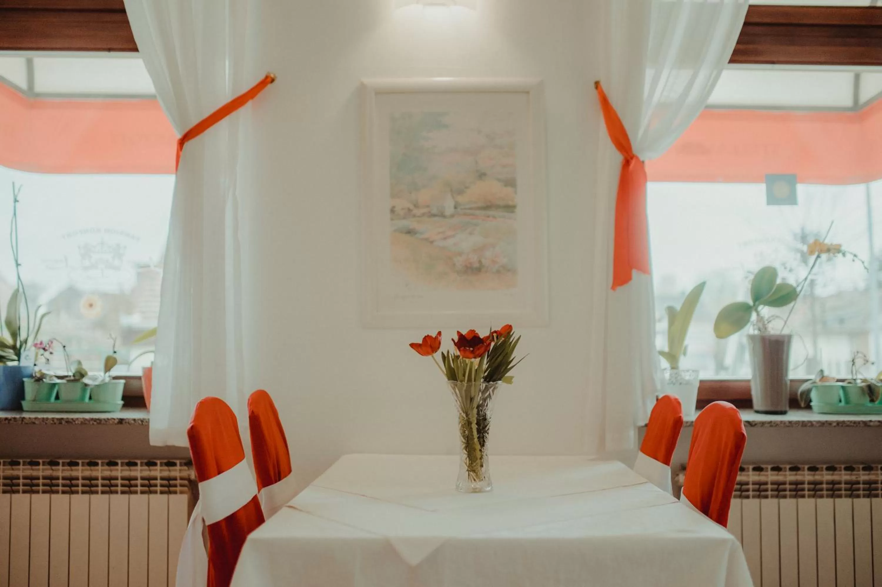 Restaurant/Places to Eat in B&B Laguna