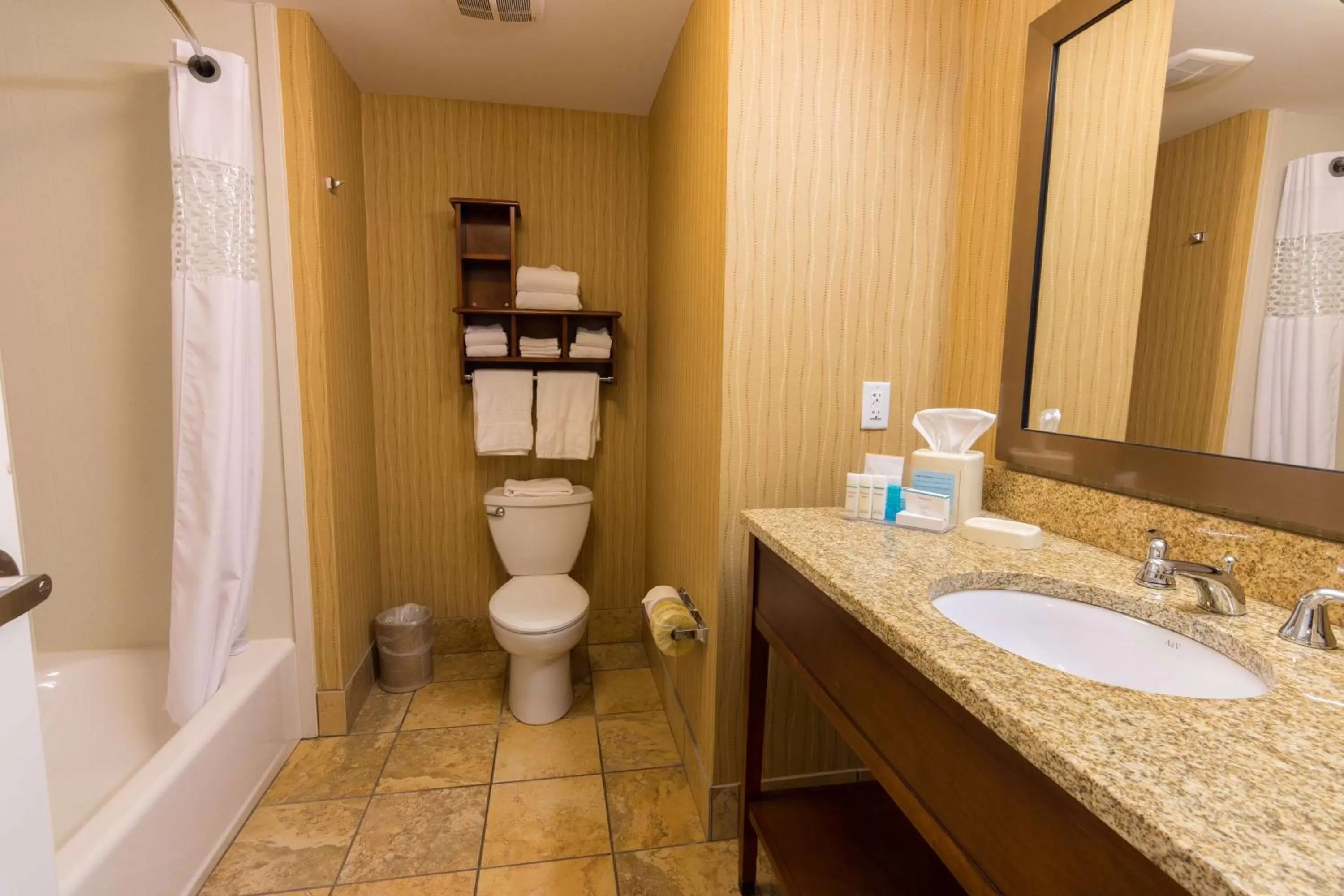 Bathroom in Hampton Inn Bangor