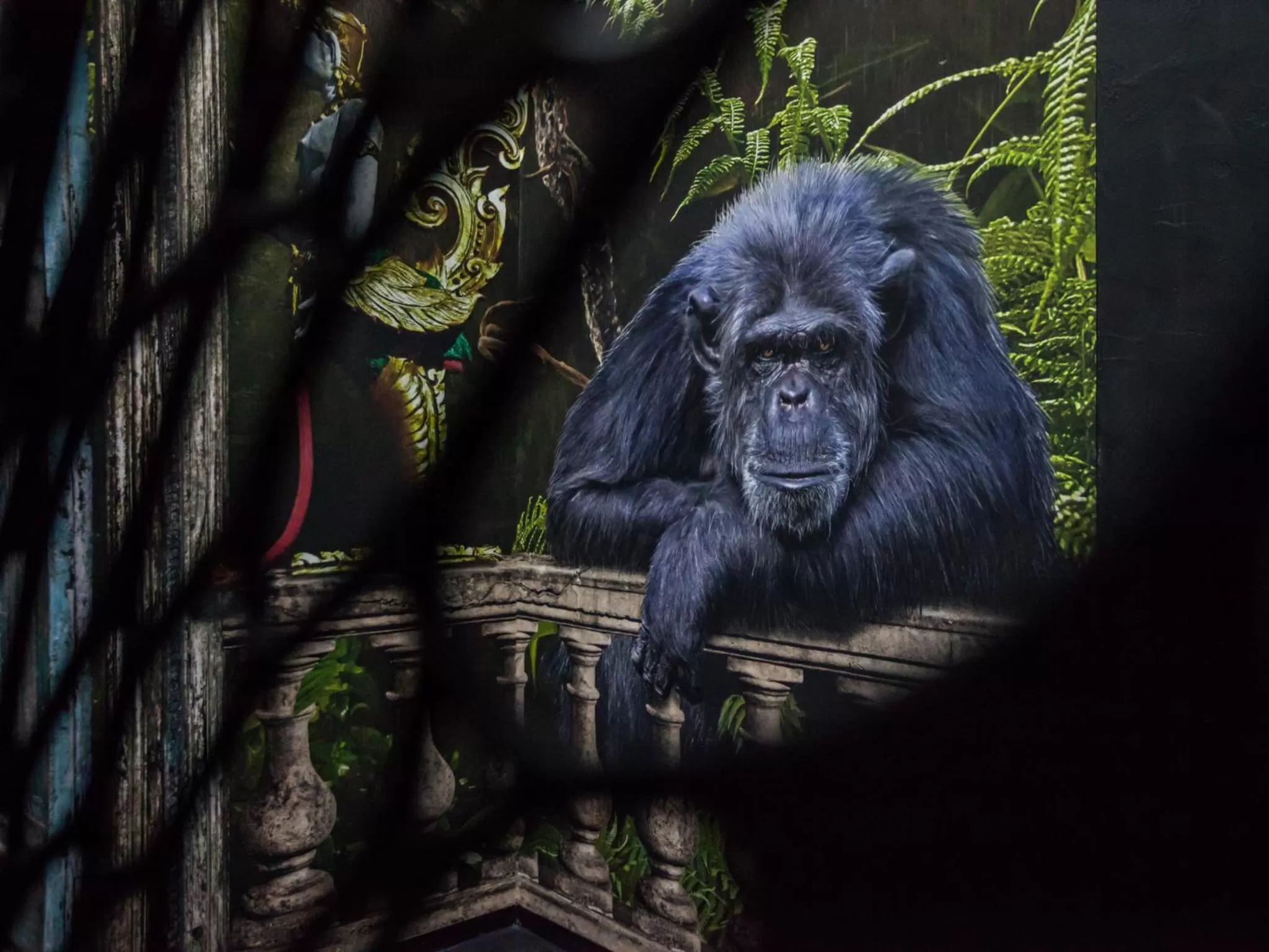 Decorative detail in Boutique Hotel K7