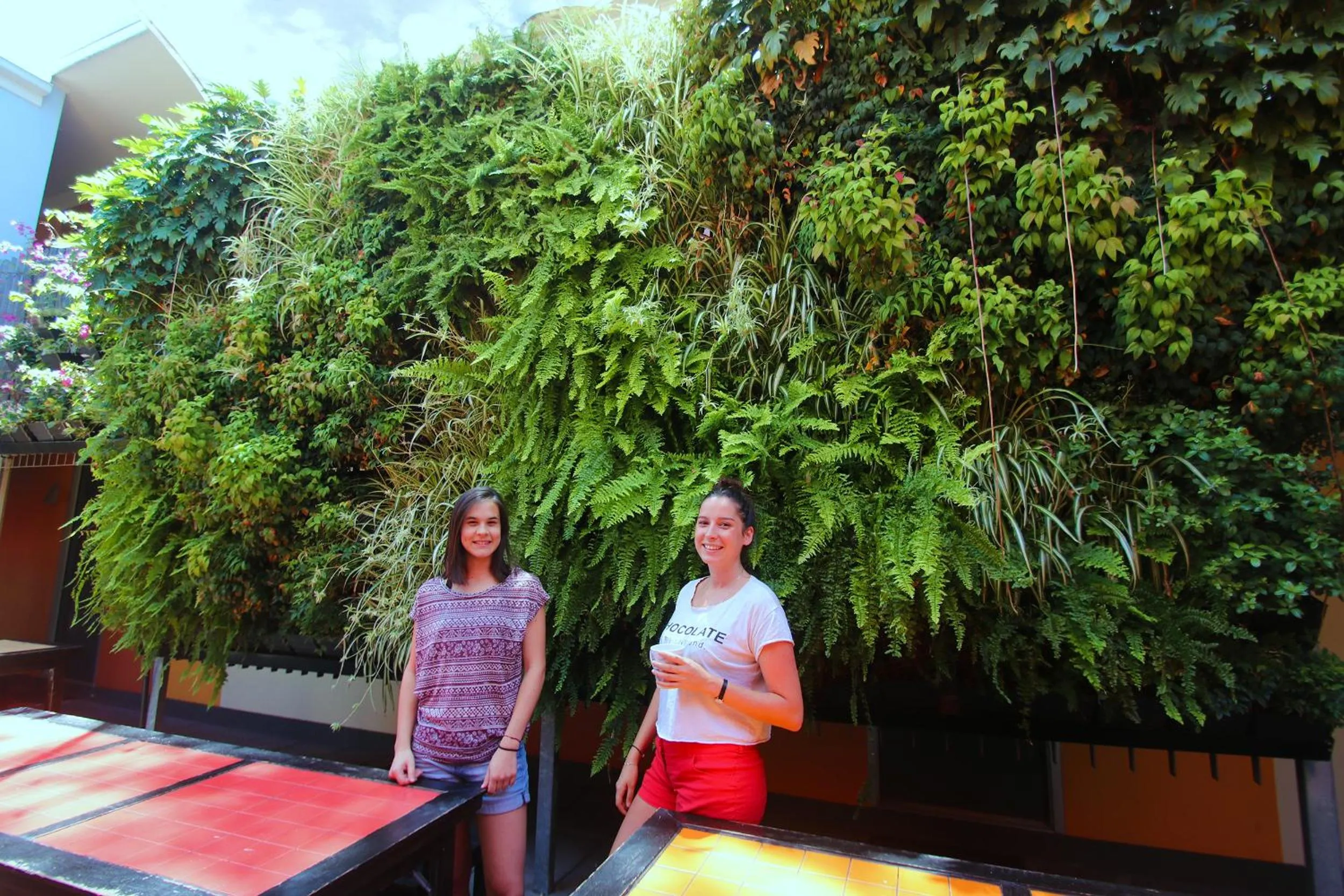Inner courtyard view in Original Backpackers