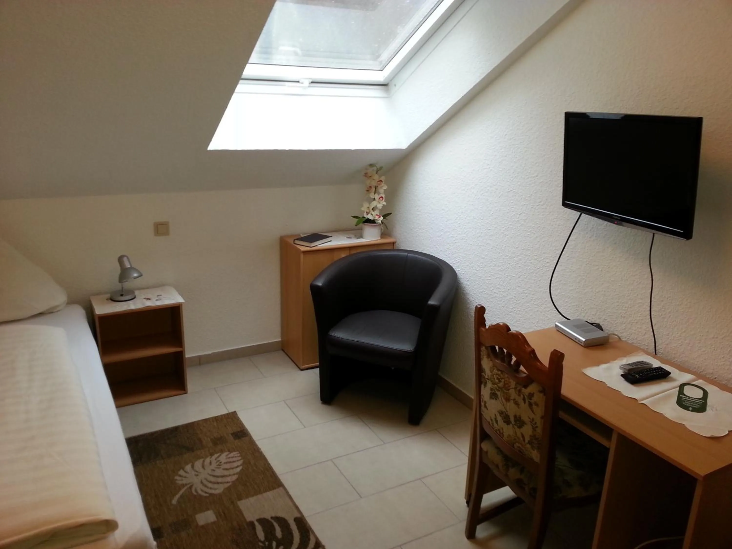 TV and multimedia in Hotel Am Kamin