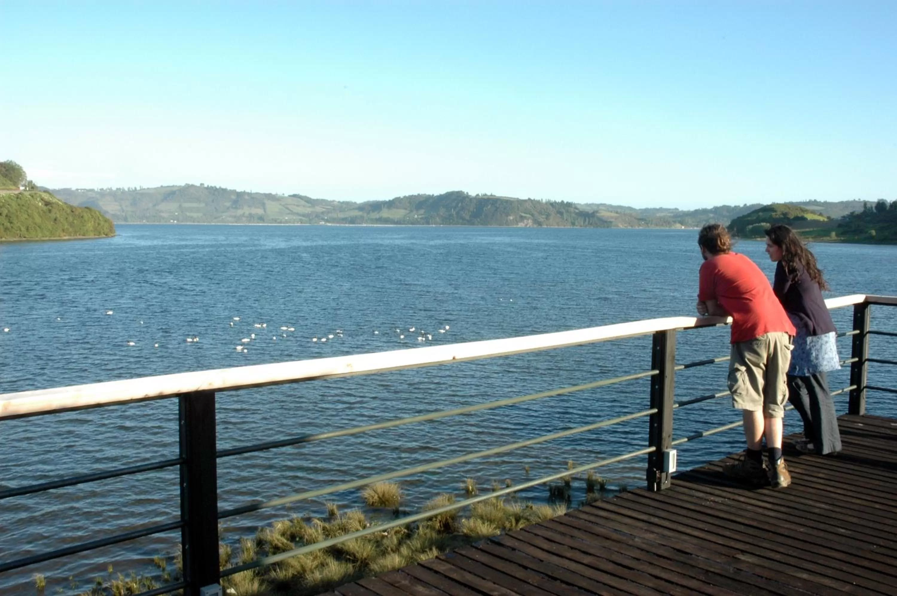 Day in Palafito 1326 Hotel Boutique Chiloé