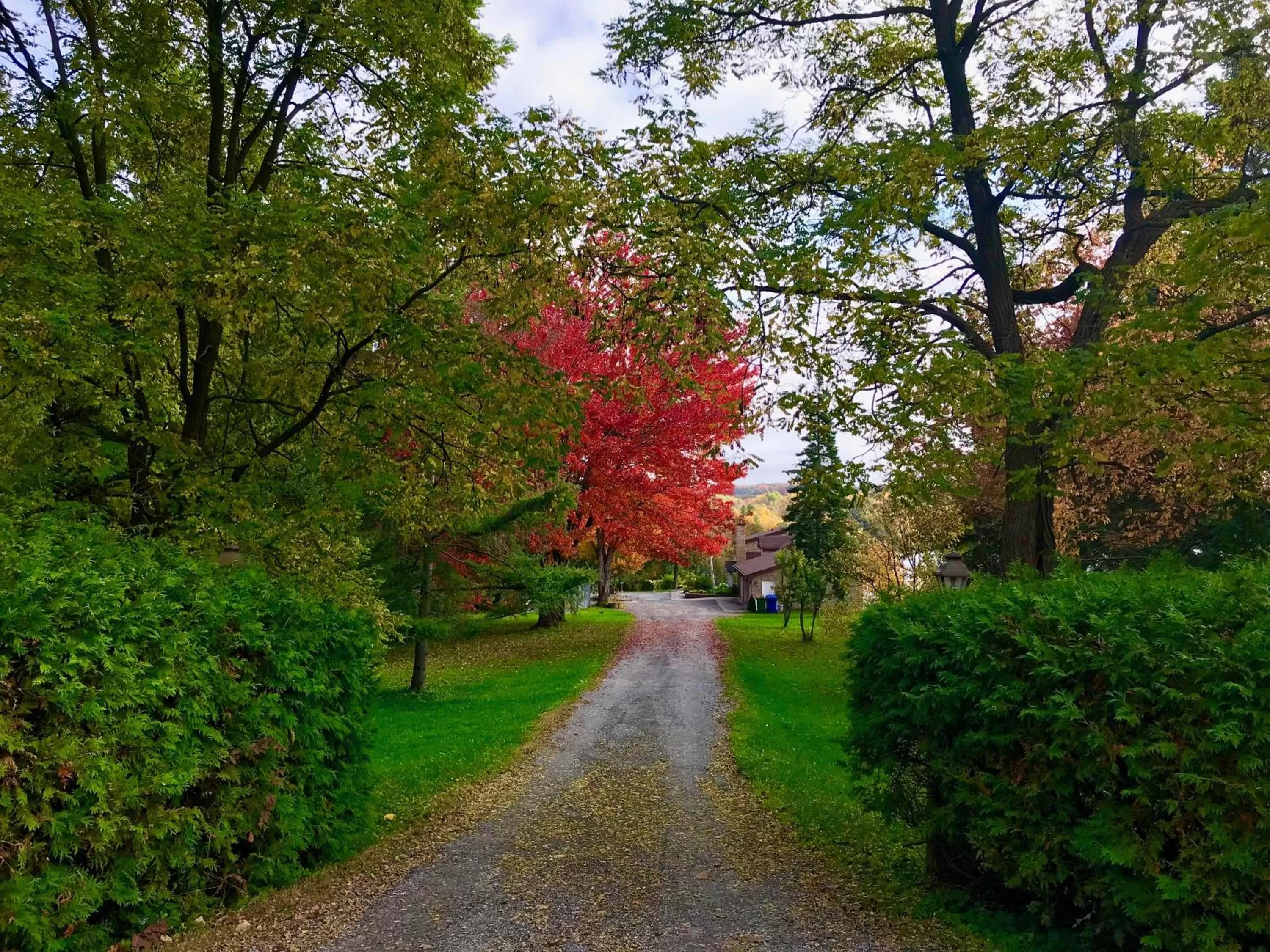 Facade/entrance in Auberge Tom B&B