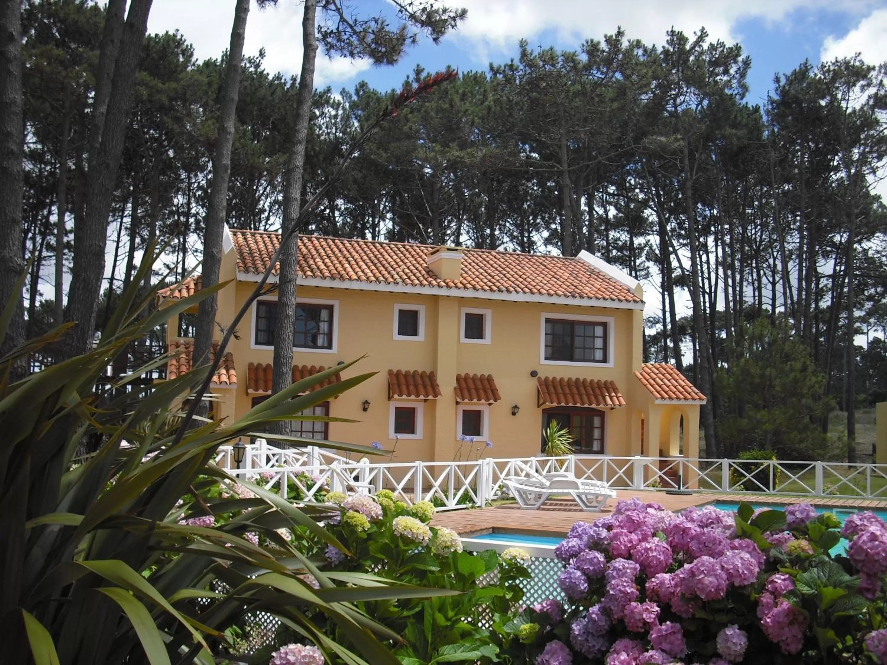 Property Building in Pino Dorado