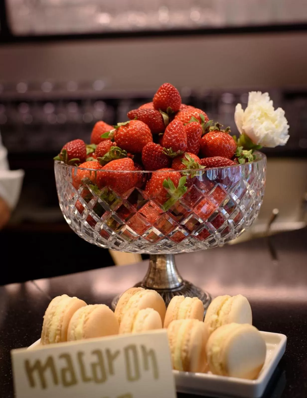 Food and drinks in Hotel Zenit