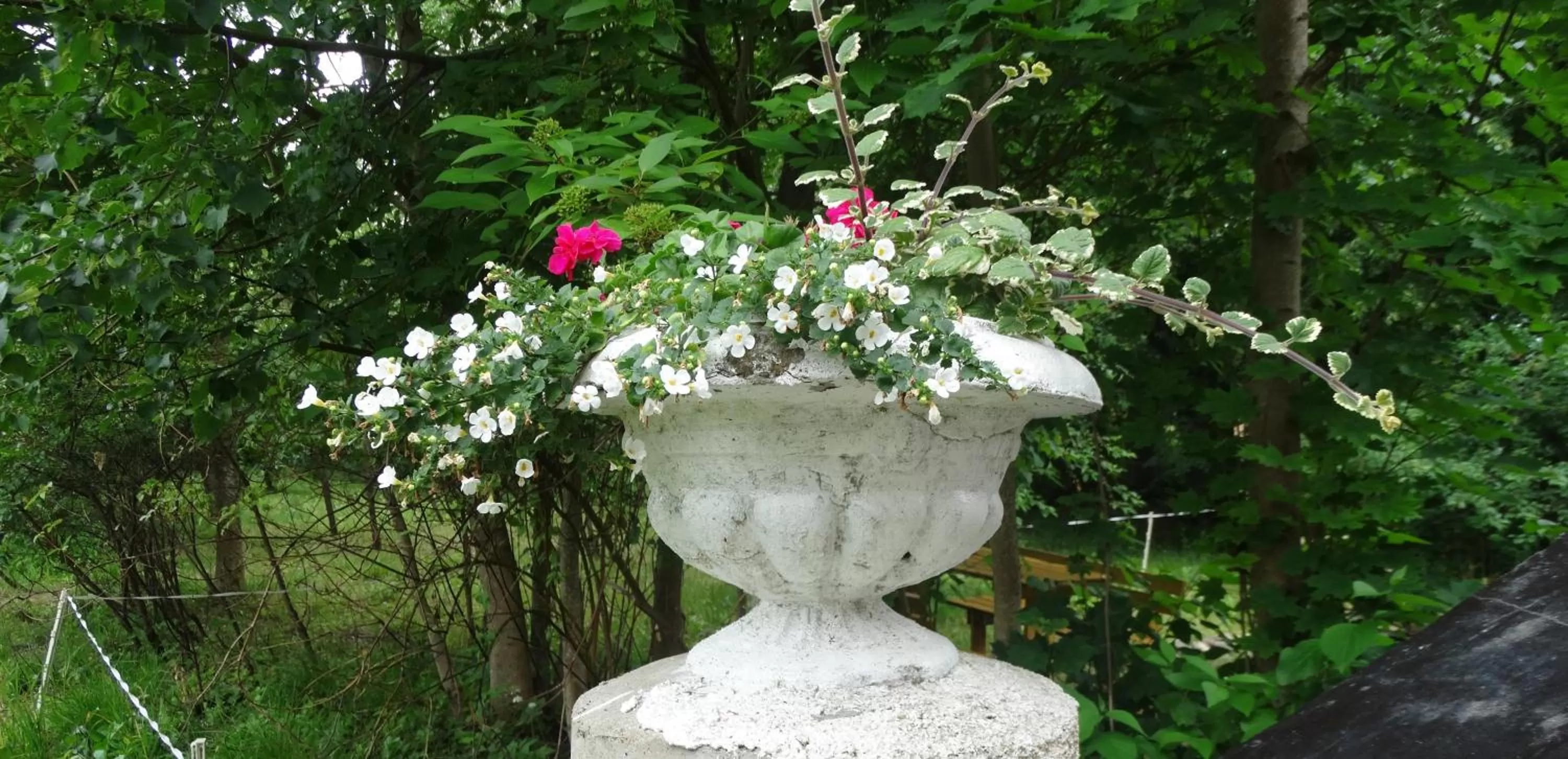 Spring in Dom na Mazurach Pilec