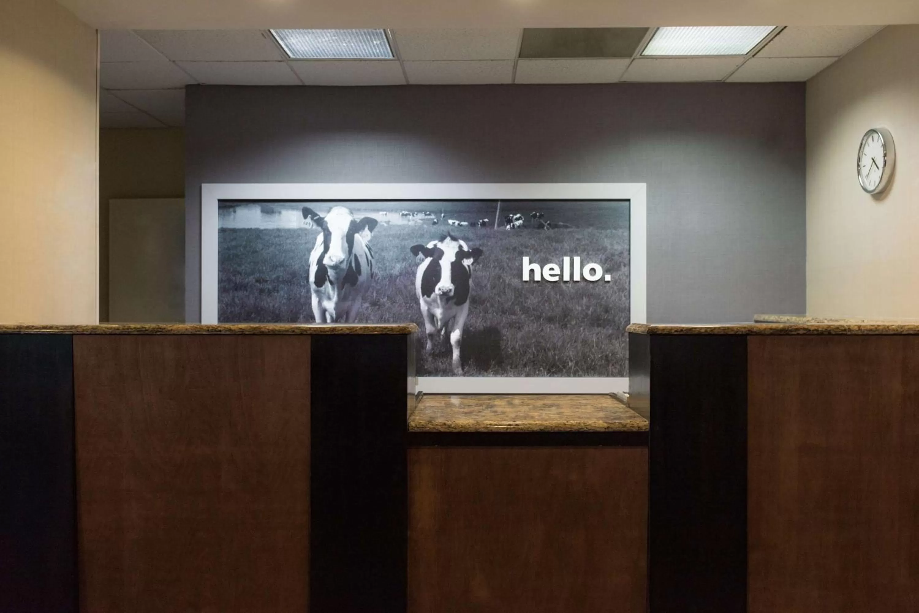 Lobby or reception in Hampton Inn Brooksville Dade City