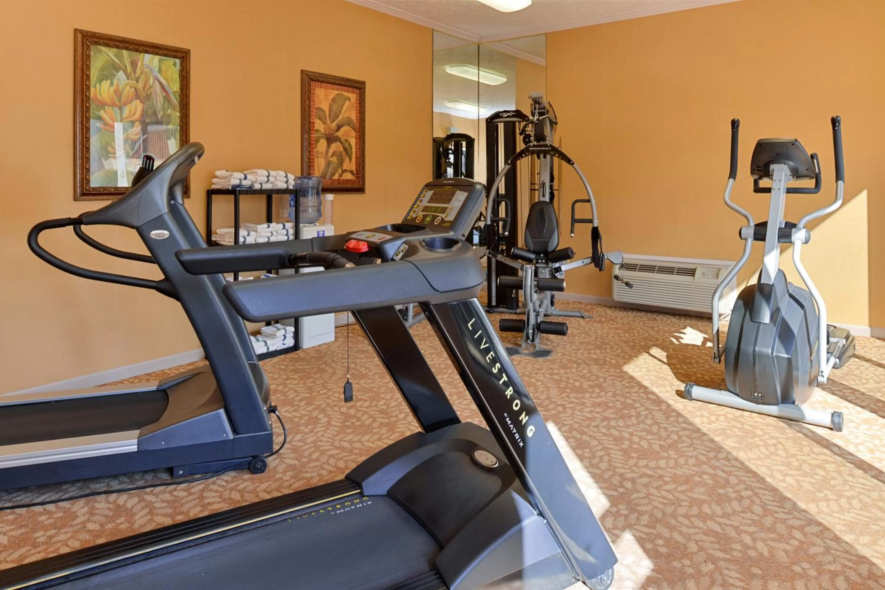 Fitness centre/facilities in SureStay Plus Hotel by Best Western Fayetteville