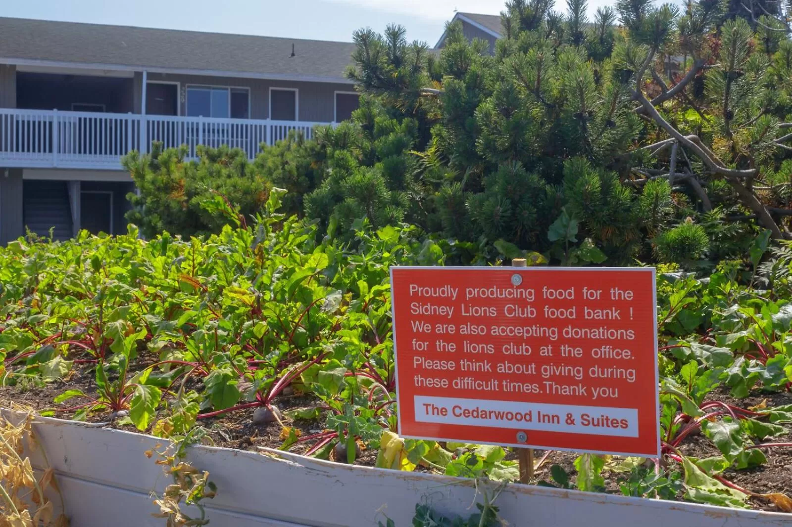 Garden in The Cedarwood Inn & Suites