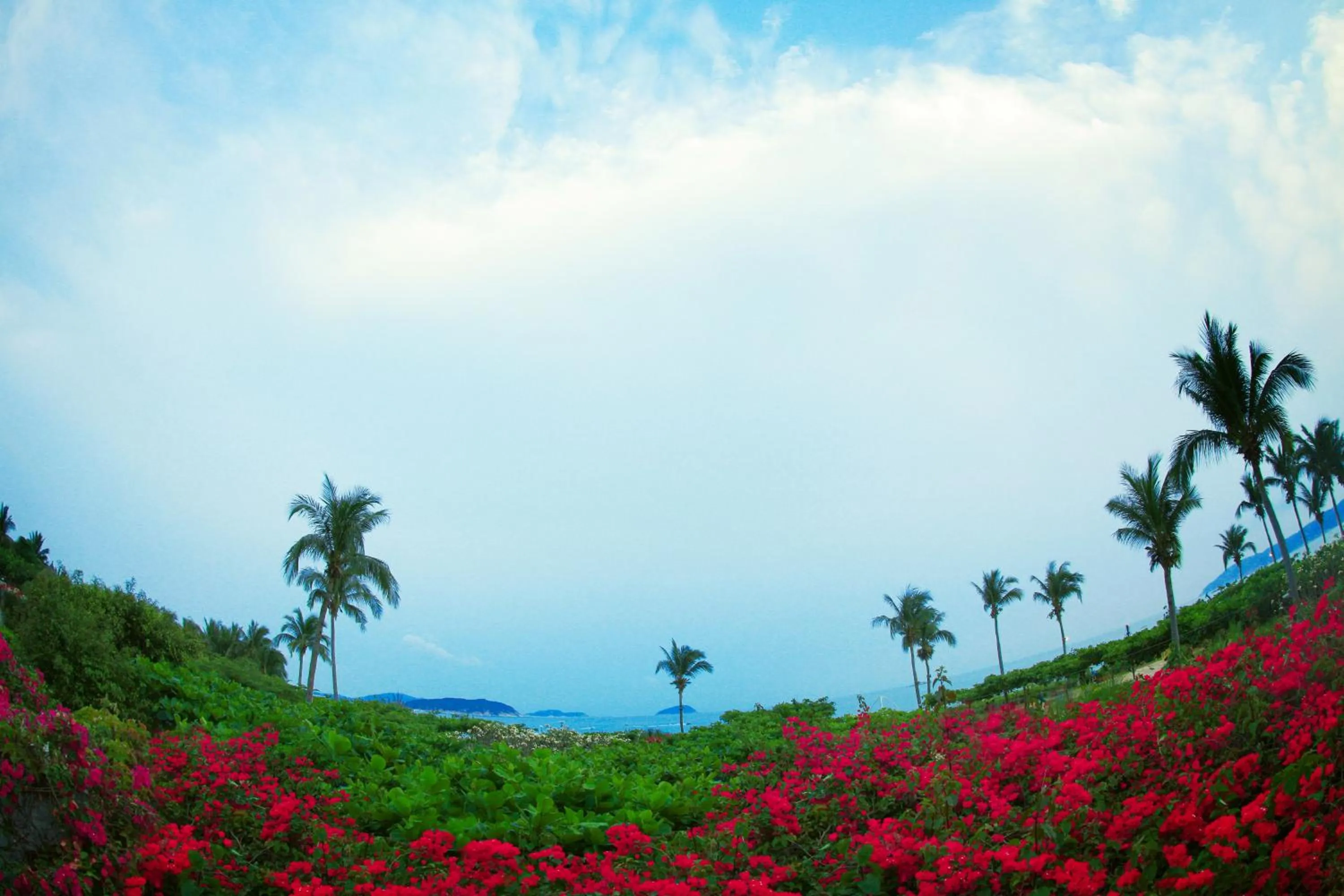 Natural landscape in Horizon Resort & Spa Yalong Bay-Yalong Bay Central