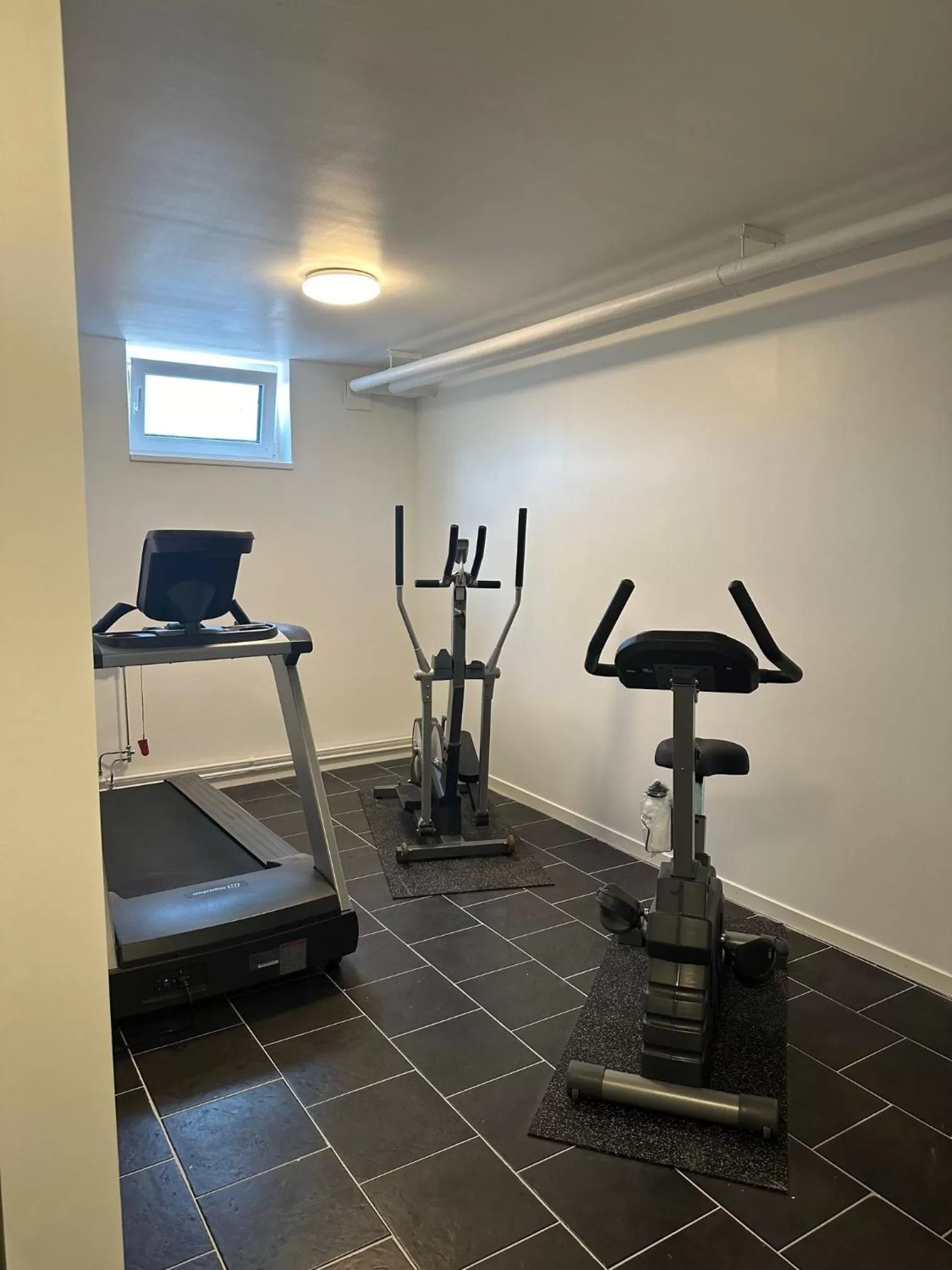 Fitness centre/facilities in Almnäs Park Hotel