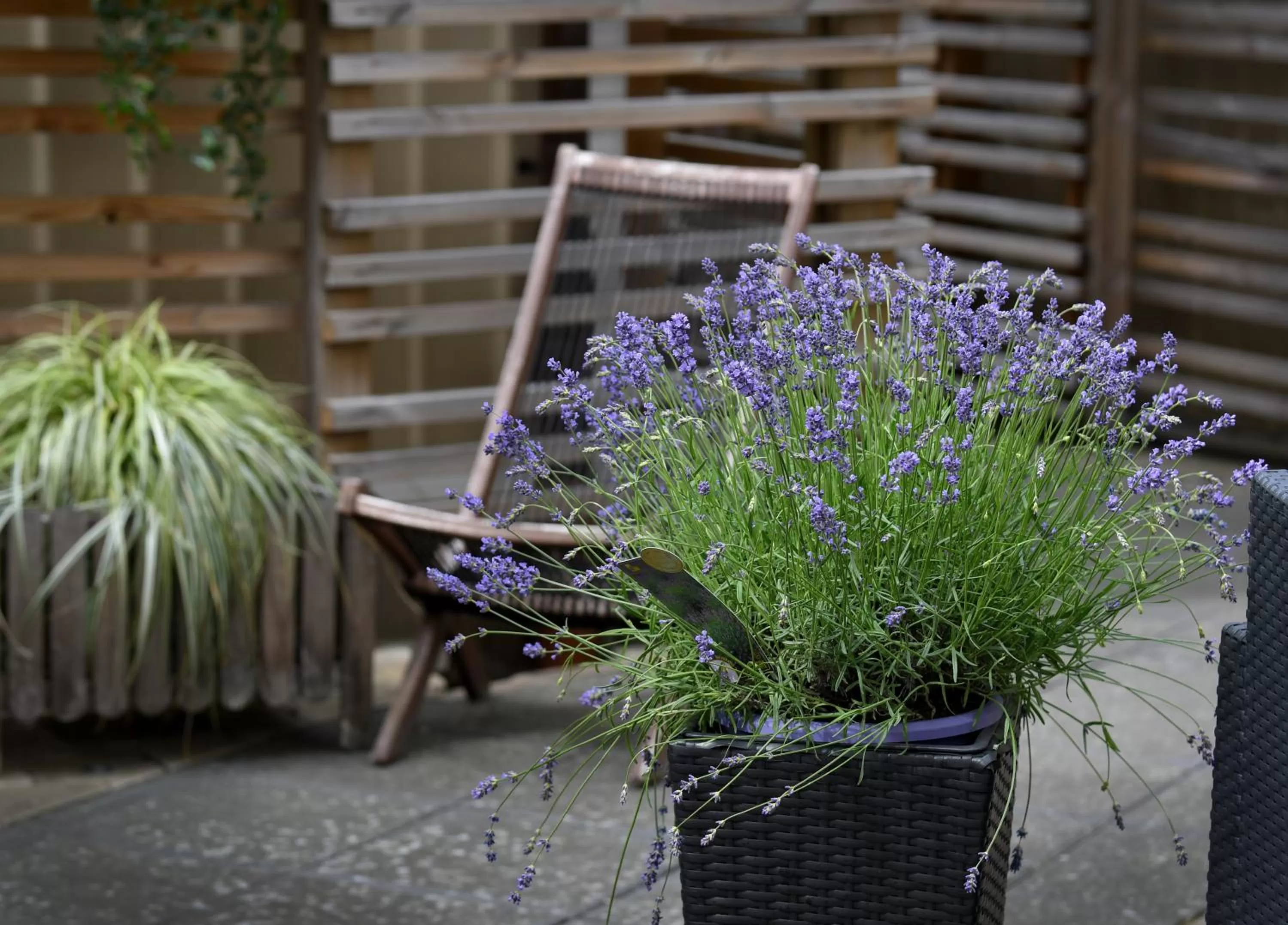 Property building in Huskvarna Stadshotell