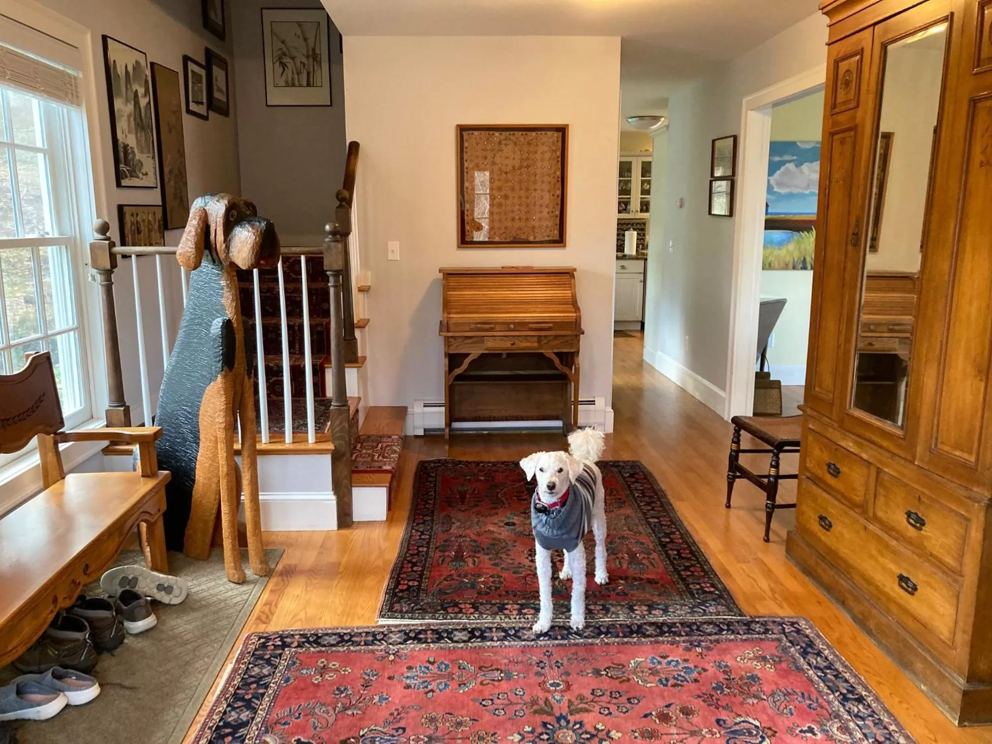 Pets in The Birch Grove