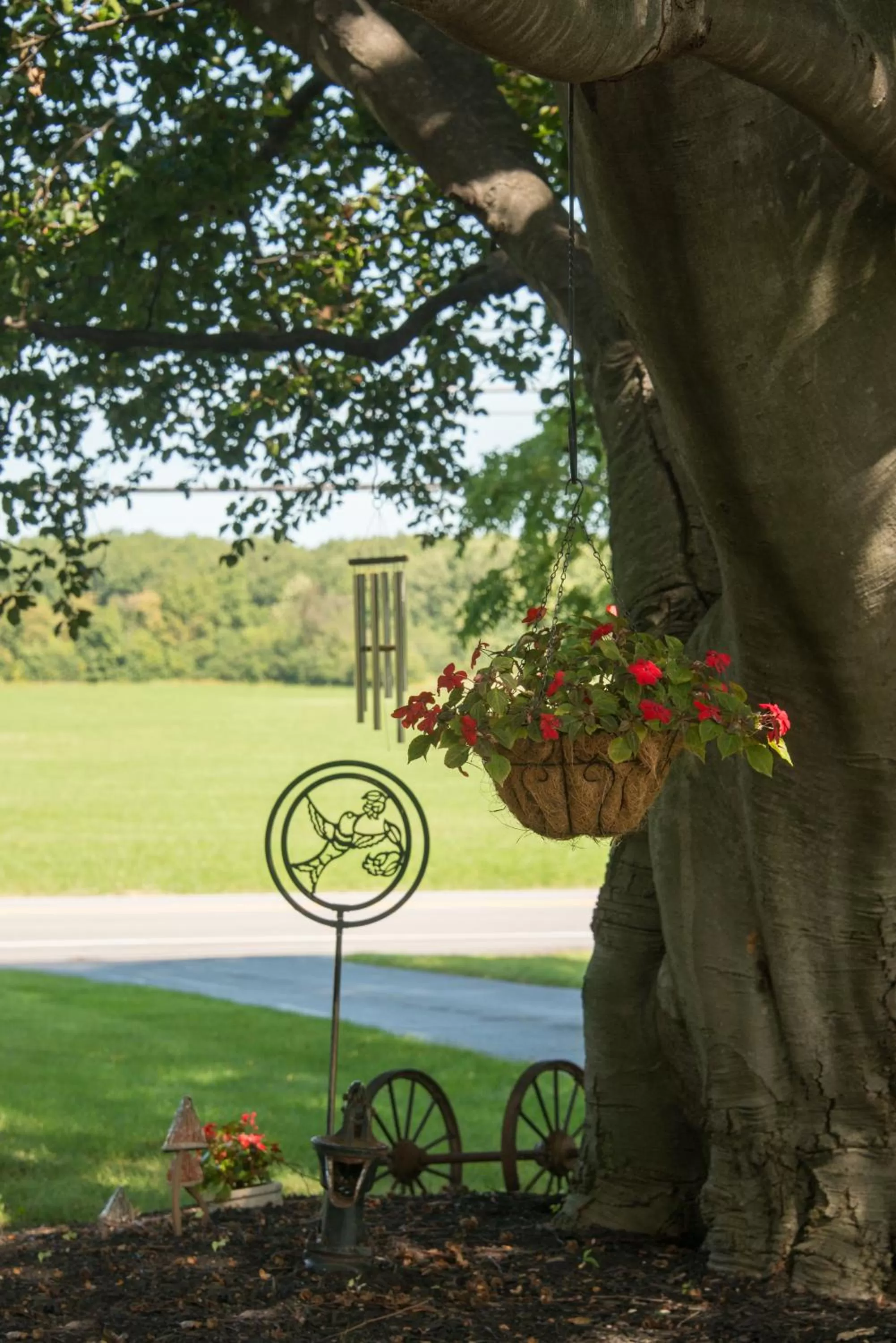 Garden view in Sutherland House Victorian Bed and Breakfast