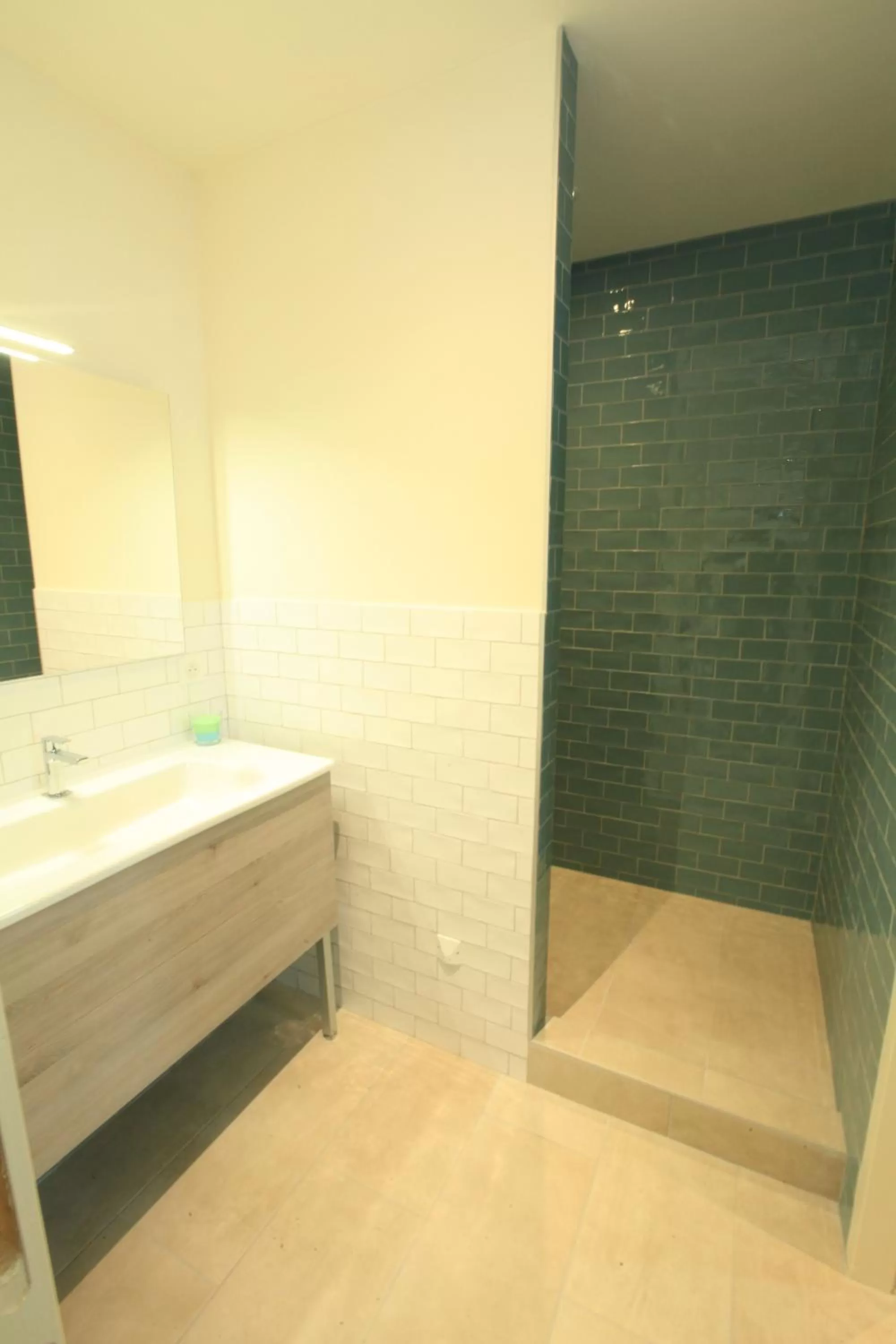 Shower in Chambres D' hôtes Les Ormes