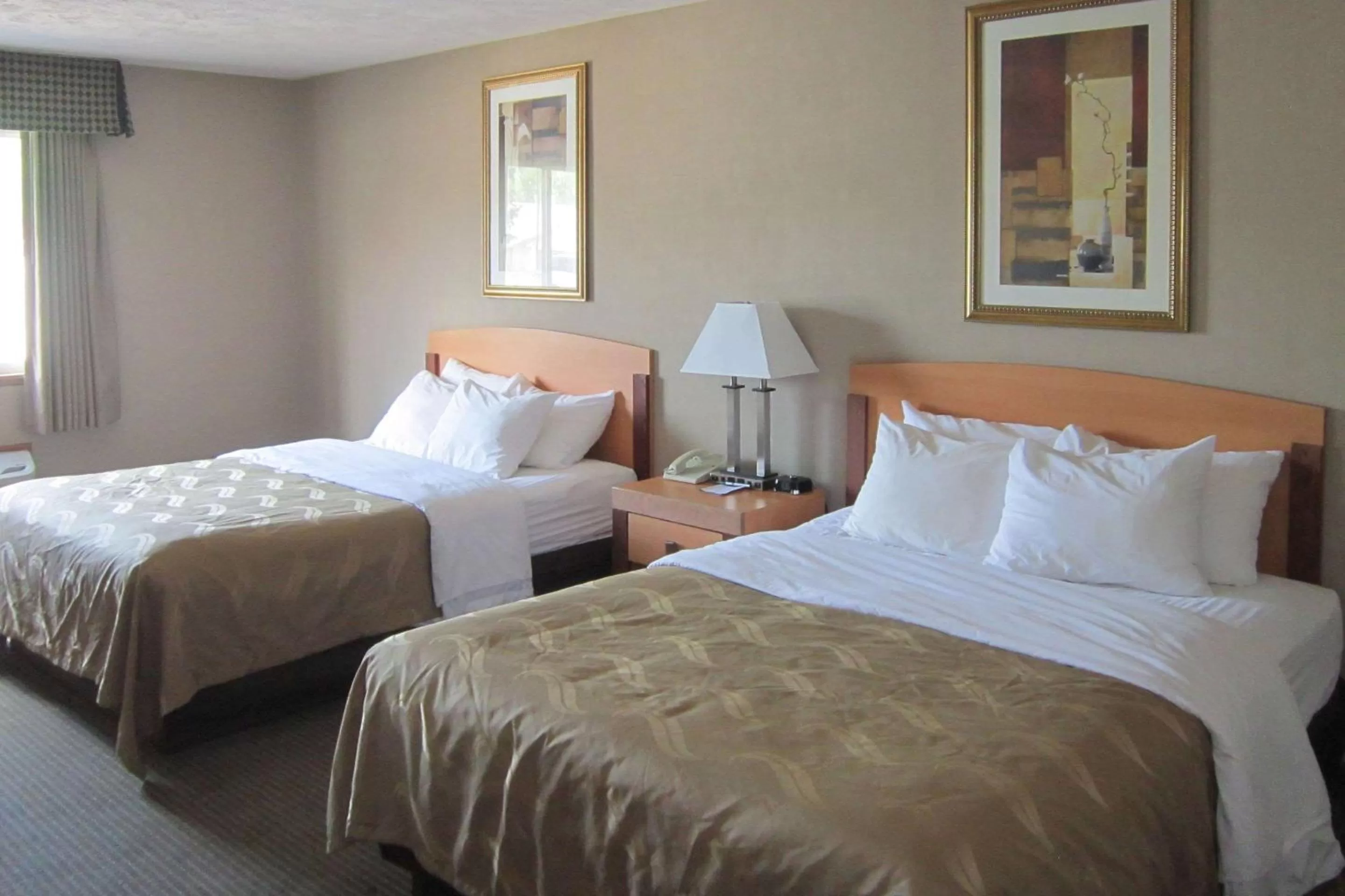 Photo of the whole room, Bed in Quality Inn Nashville - Bloomington