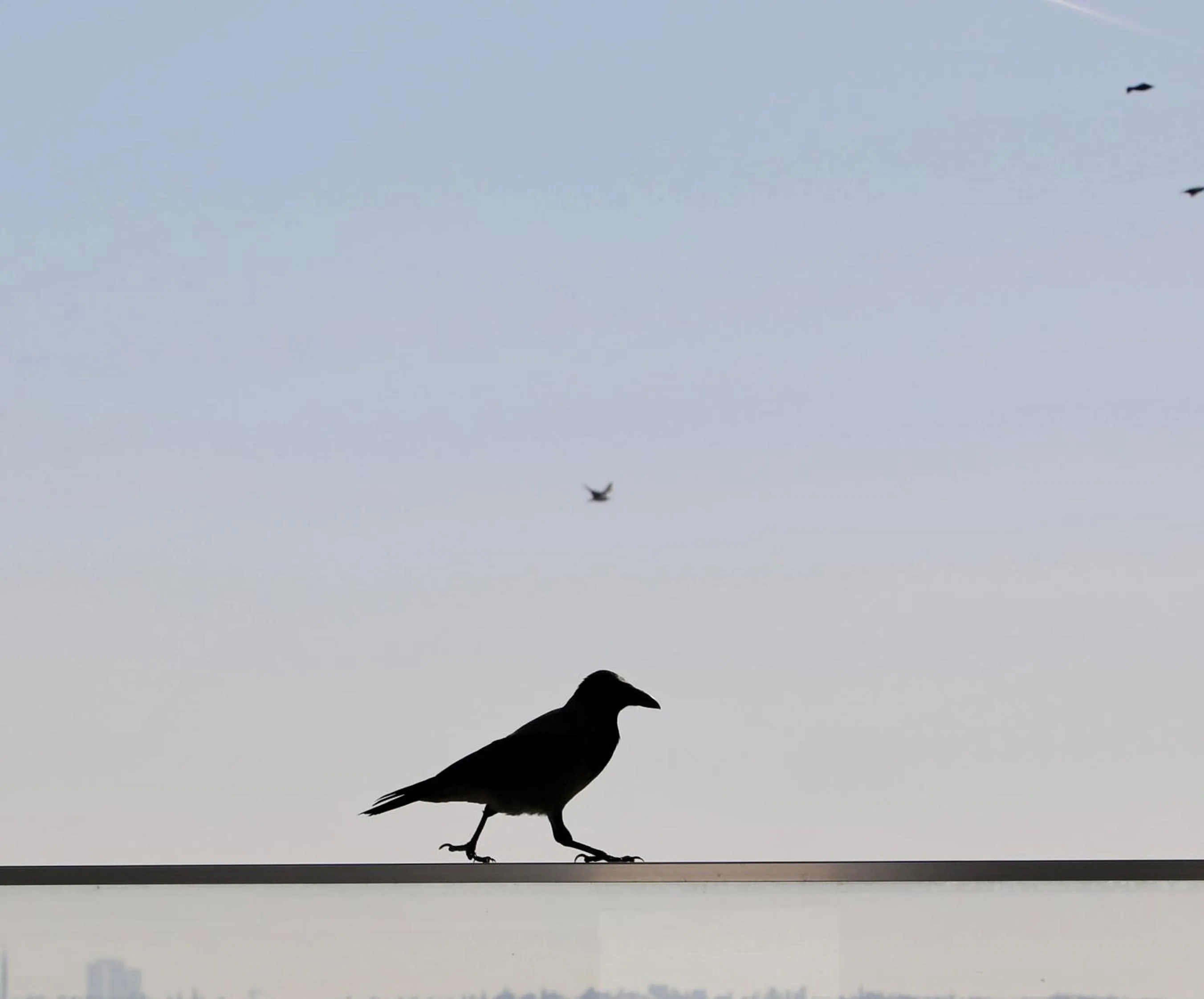 Balcony/Terrace in Istanbul Royal Hotel
