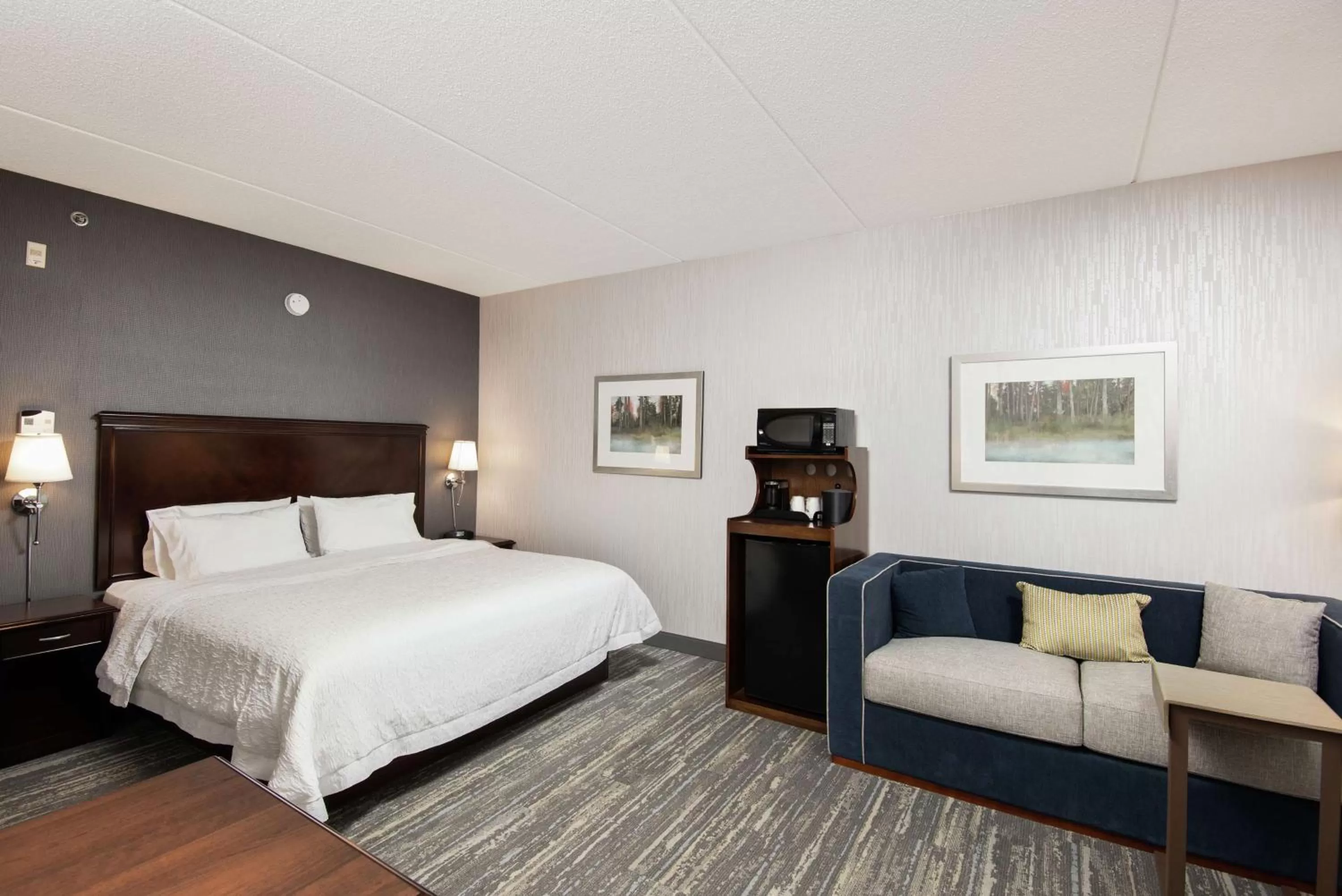 Bedroom, Bed in Hampton Inn & Suites by Hilton Barrie