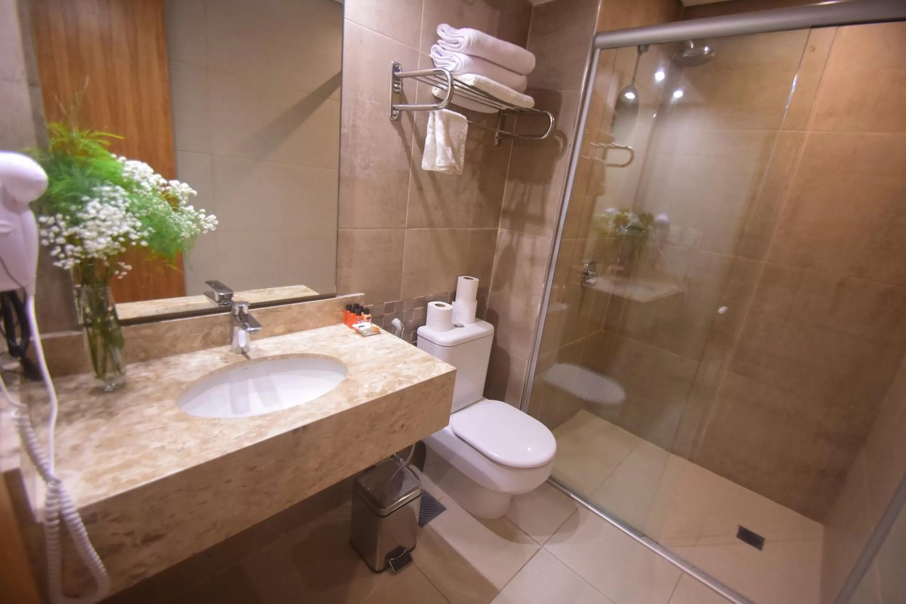 Dinner, Bathroom in Hotel Le Pelican