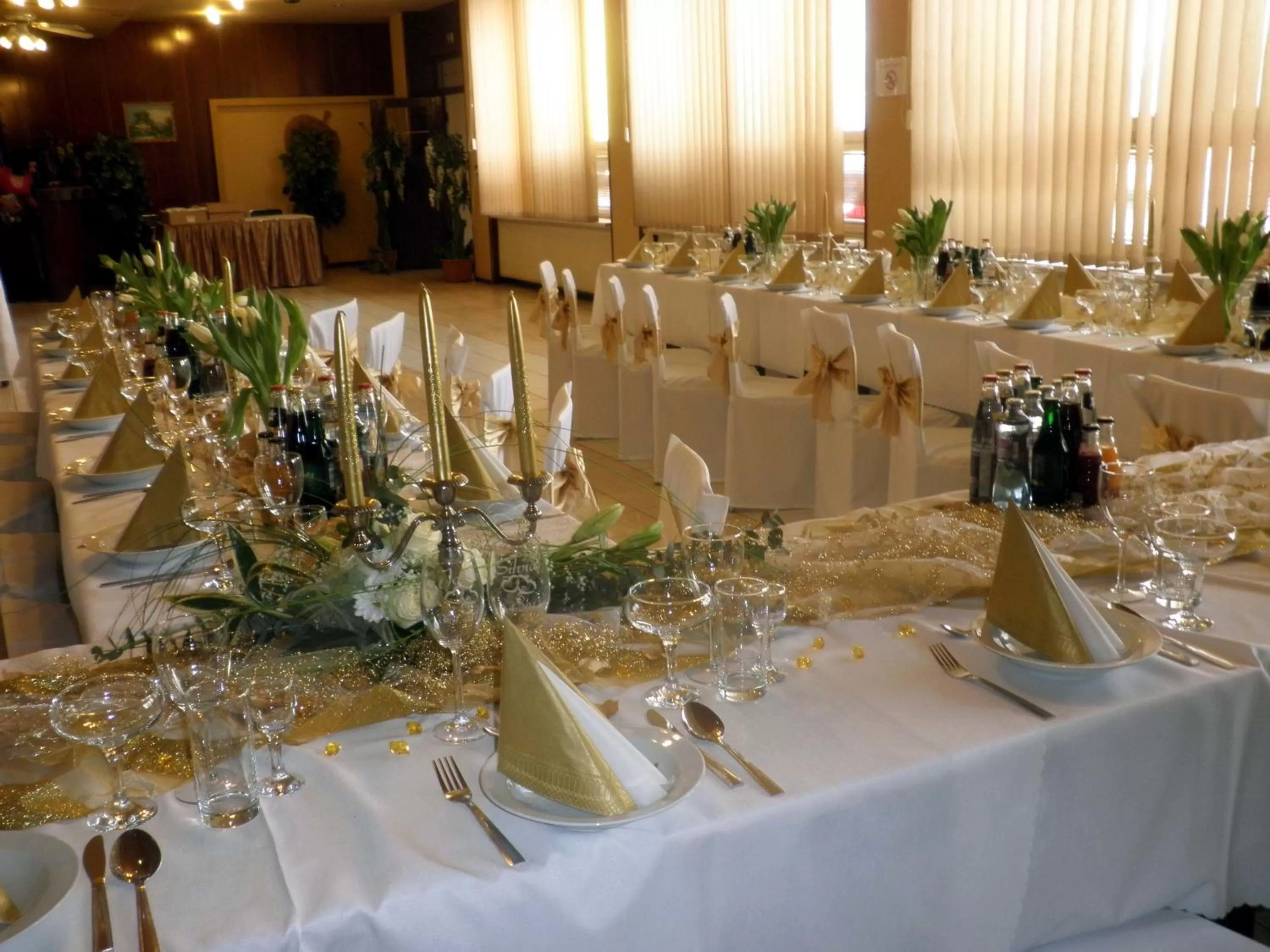 Banquet/Function facilities in ABC Hotel Nitra