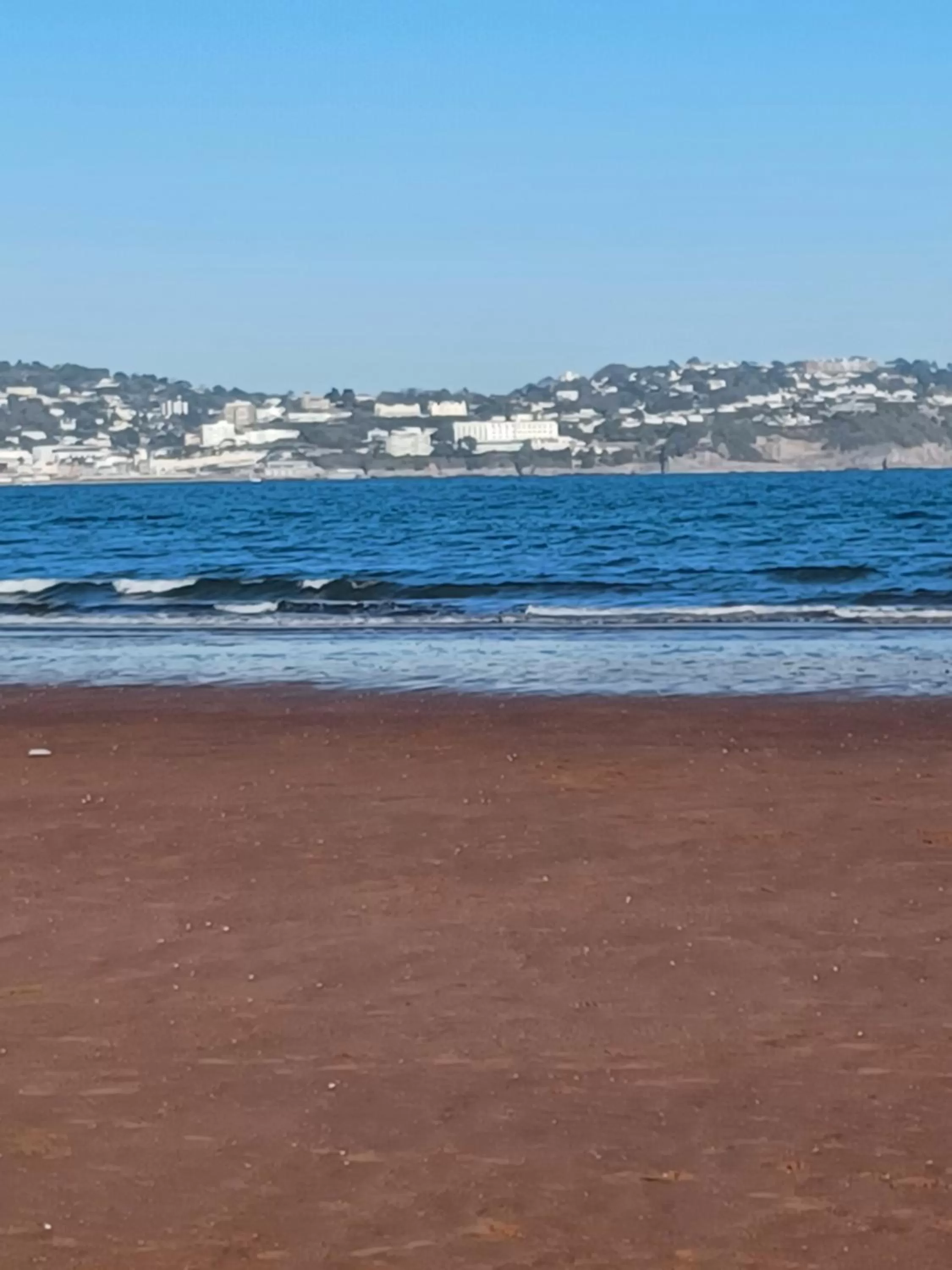 Belle Dene Guest House