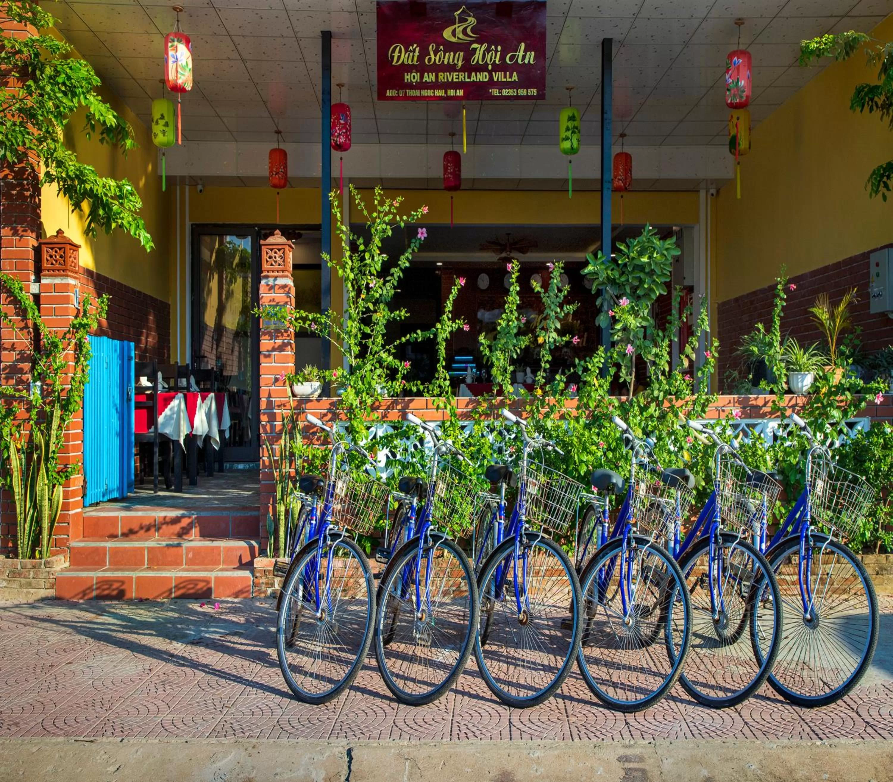 Cycling in Hoi An Riverland Villa - Hoi An Center