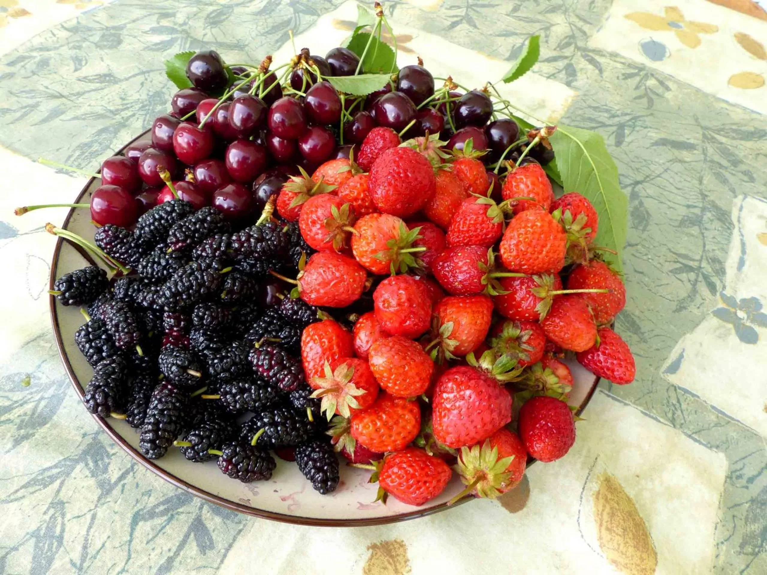 Meals, Food in Green Stone Boutique Hotel