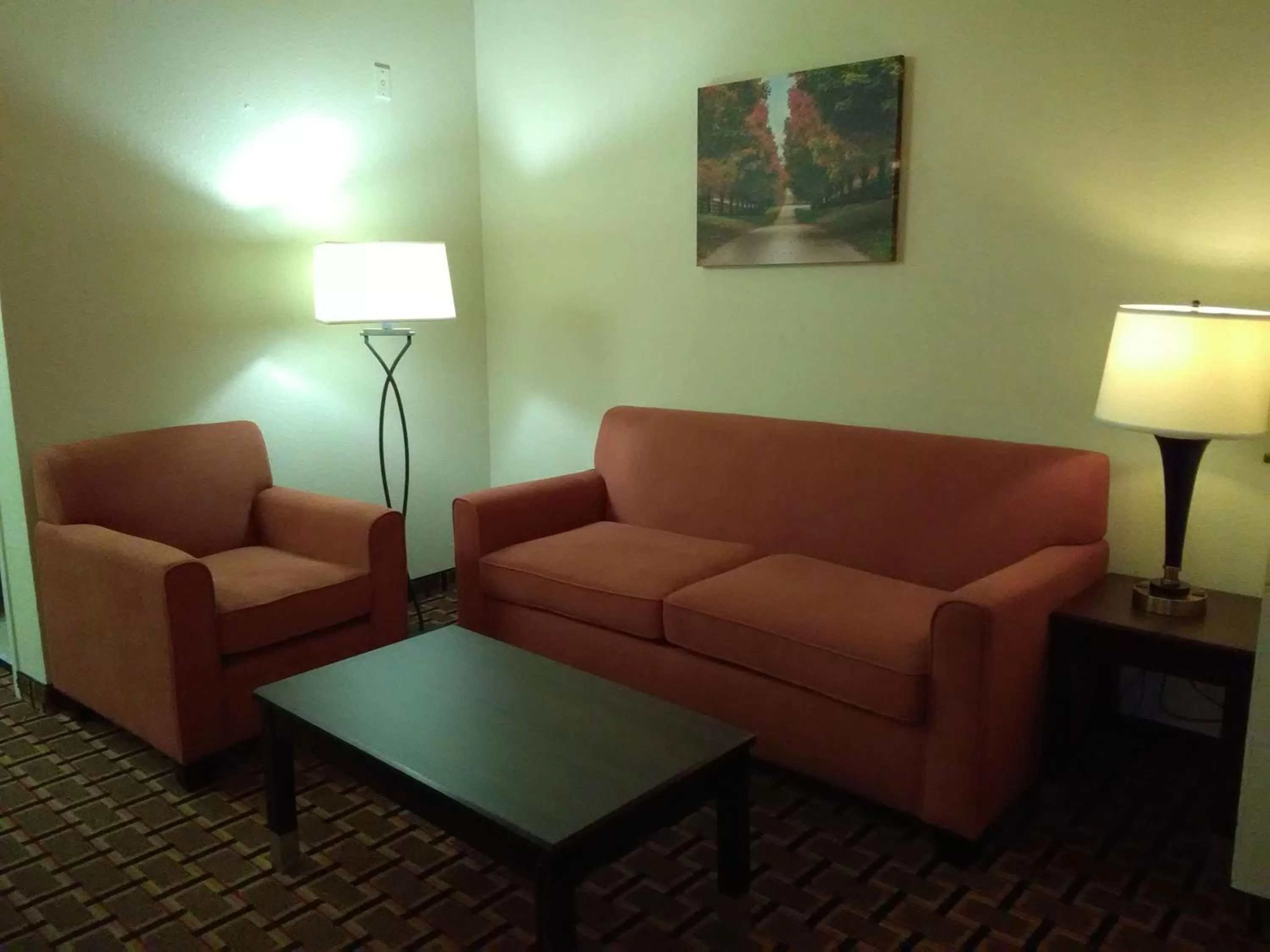 Photo of the whole room in Best Western Executive Inn & Suites