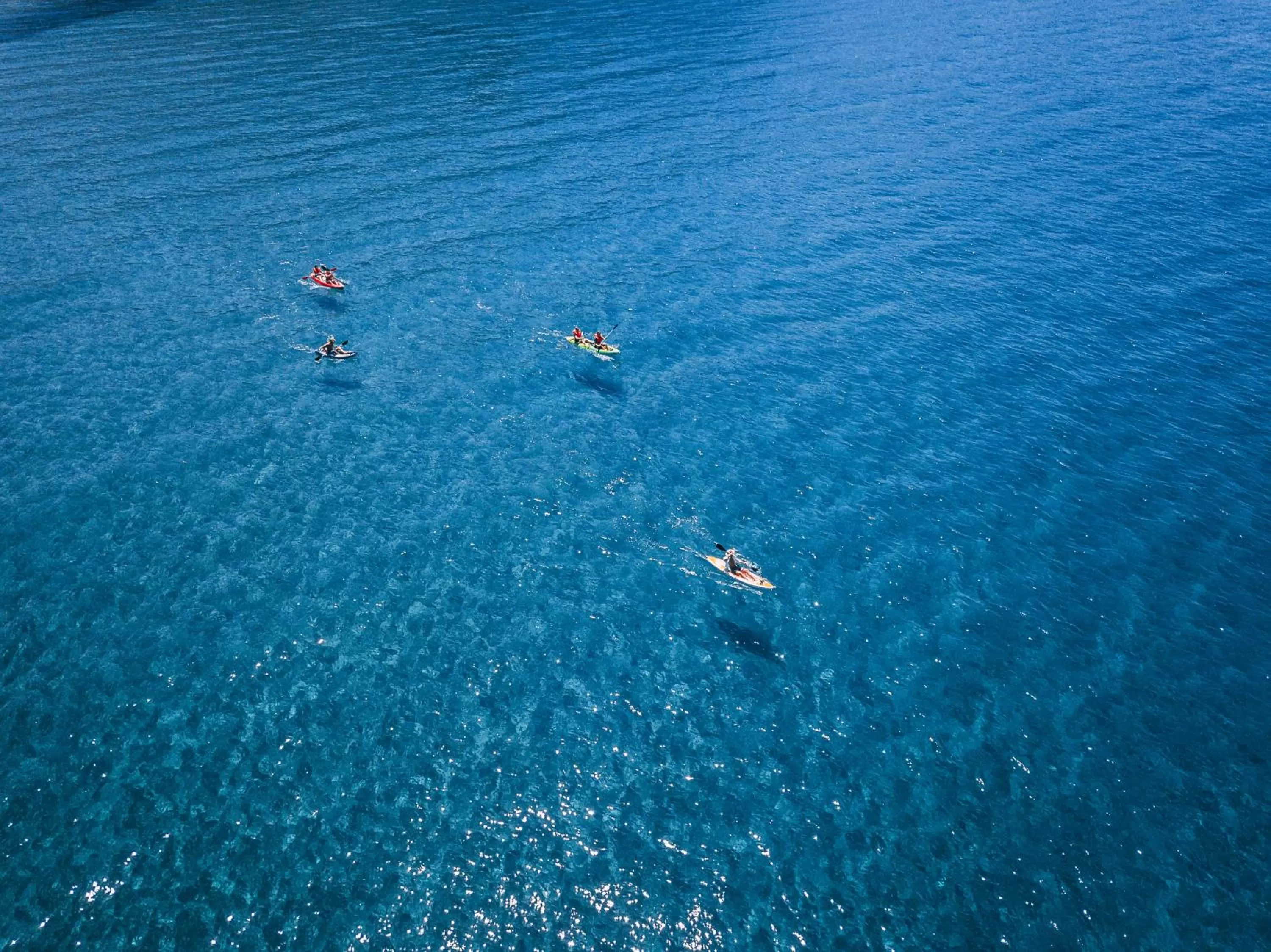 Pink Palace Beach Resort