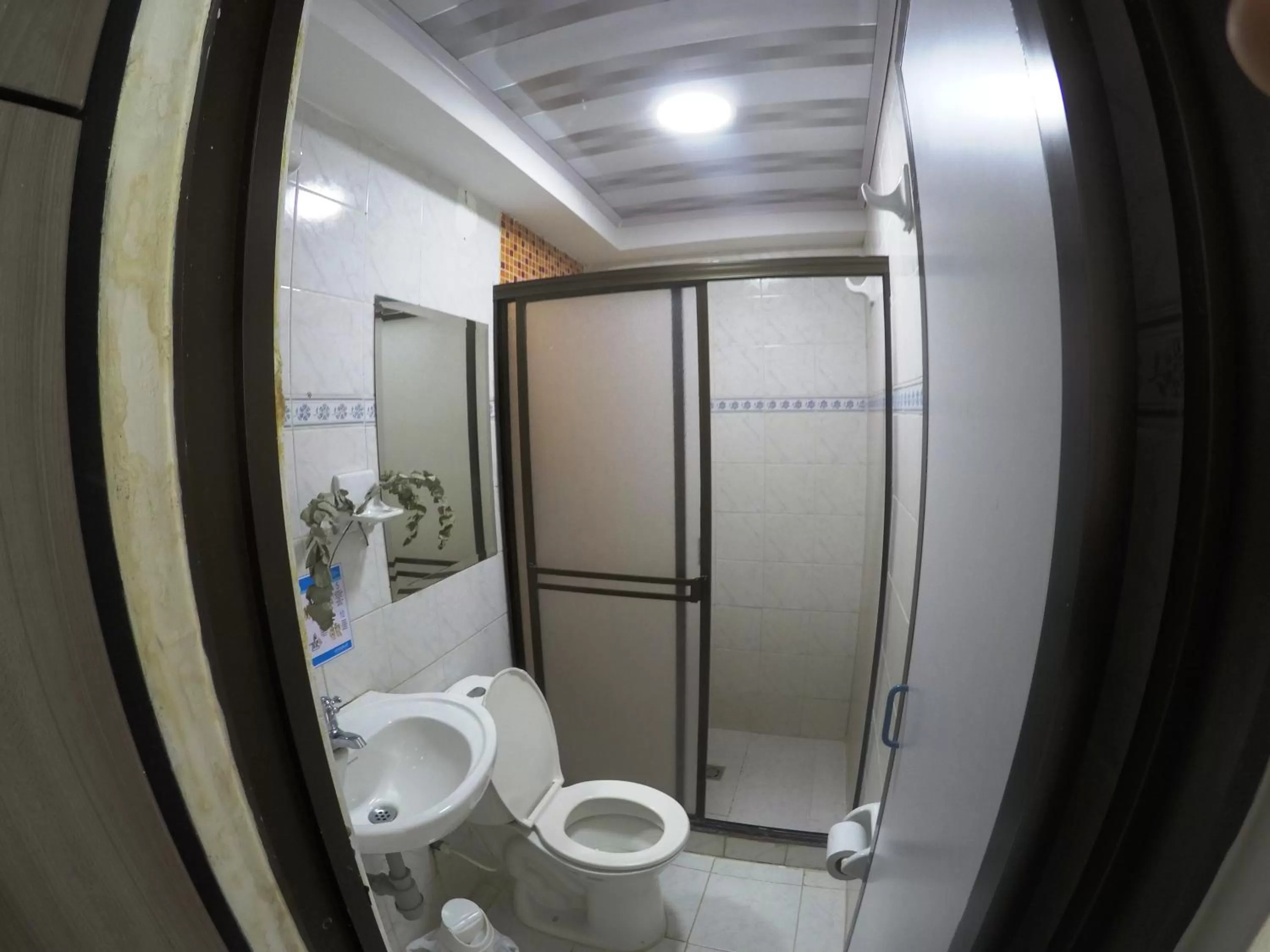 Shower, Bathroom in Sky Club Eco Hotel