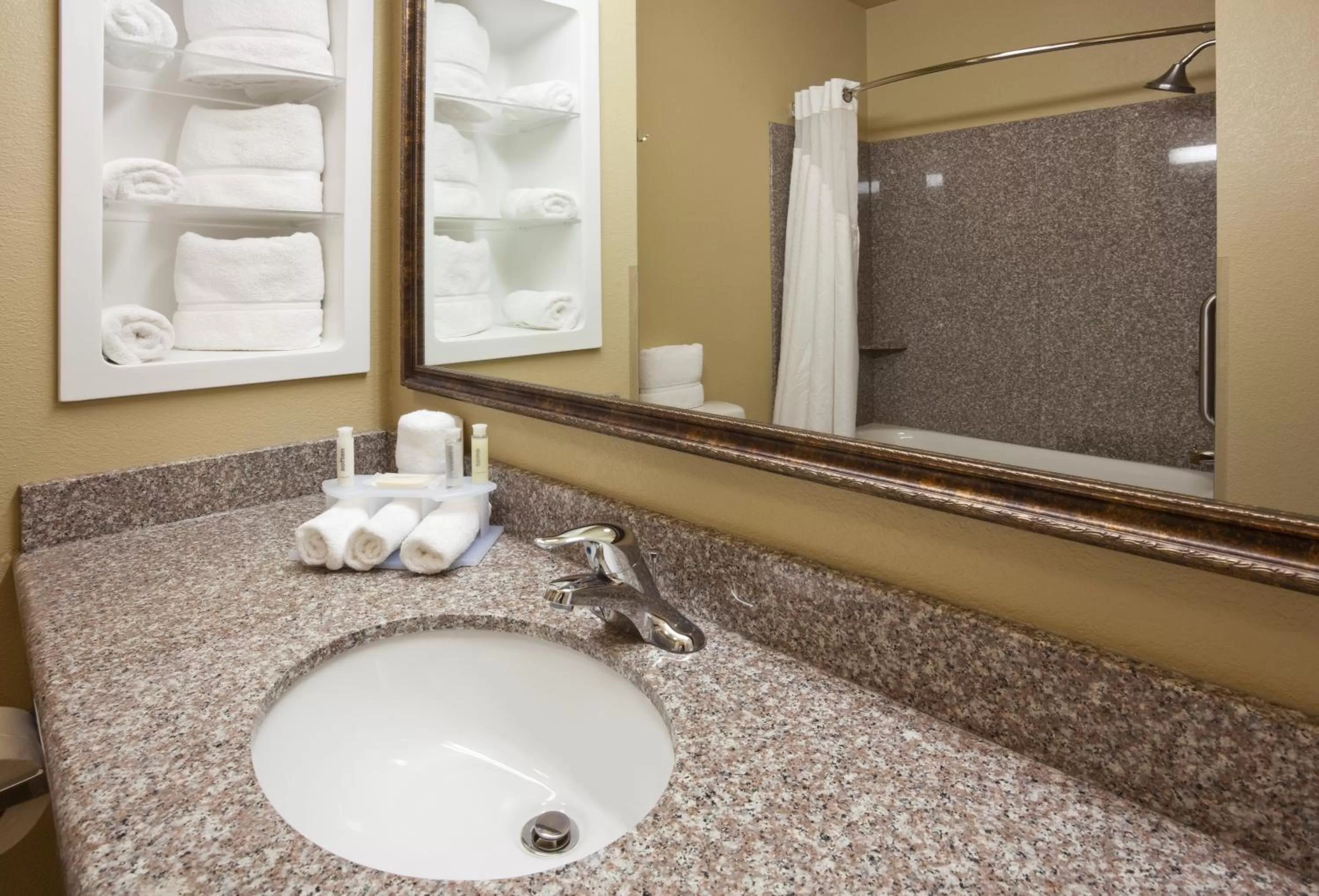 Bathroom in Baymont Inn & Suites by Wyndham Sturgis