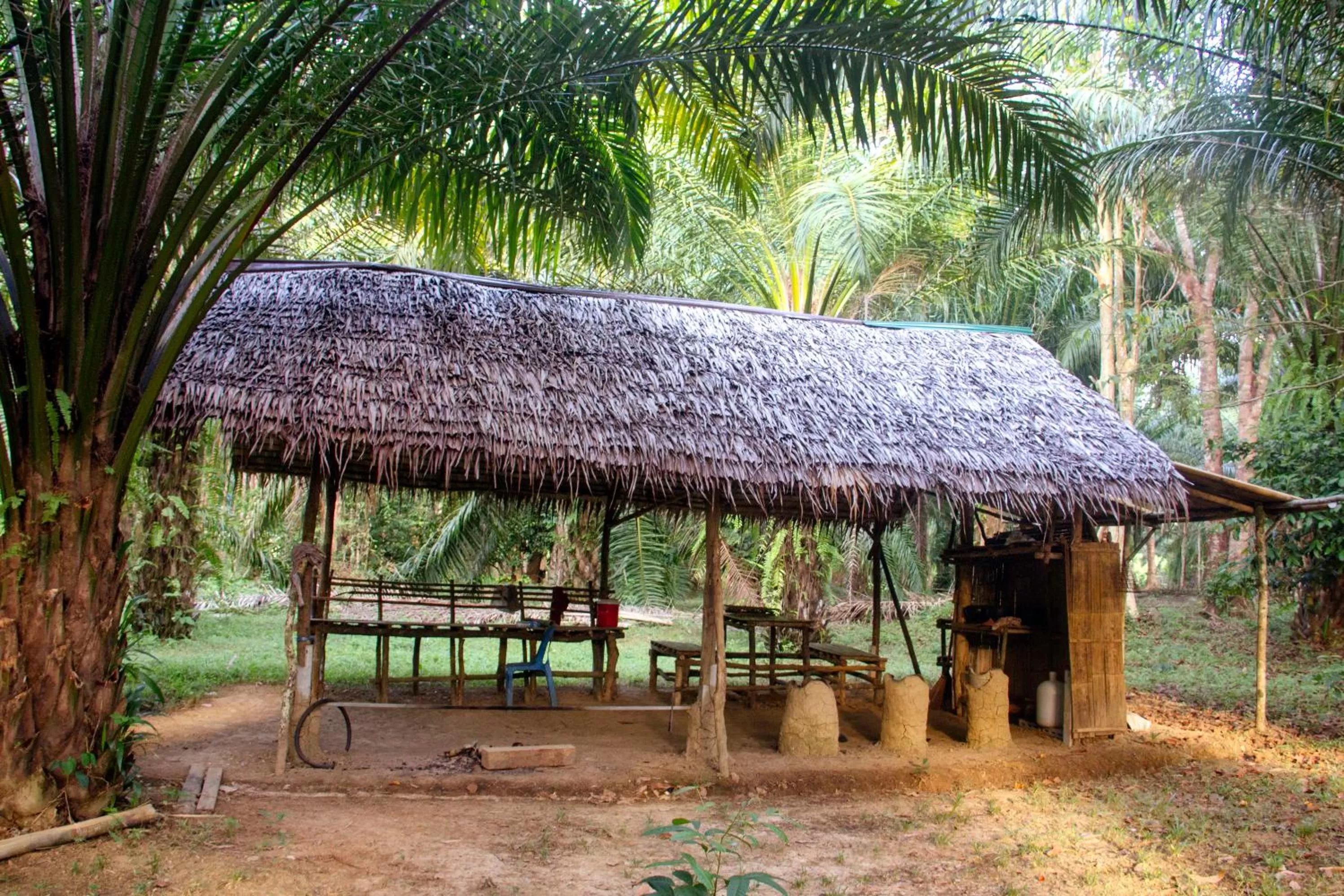 Property building in Khao Sok Palmview Resort