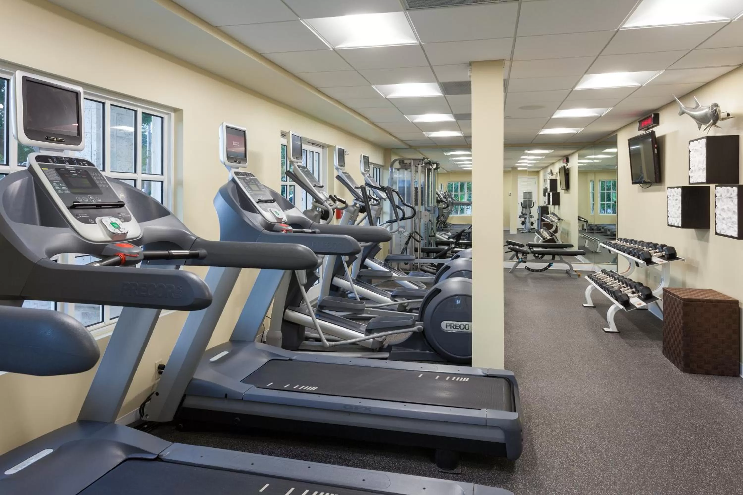Fitness centre/facilities in Reefhouse Resort and Marina