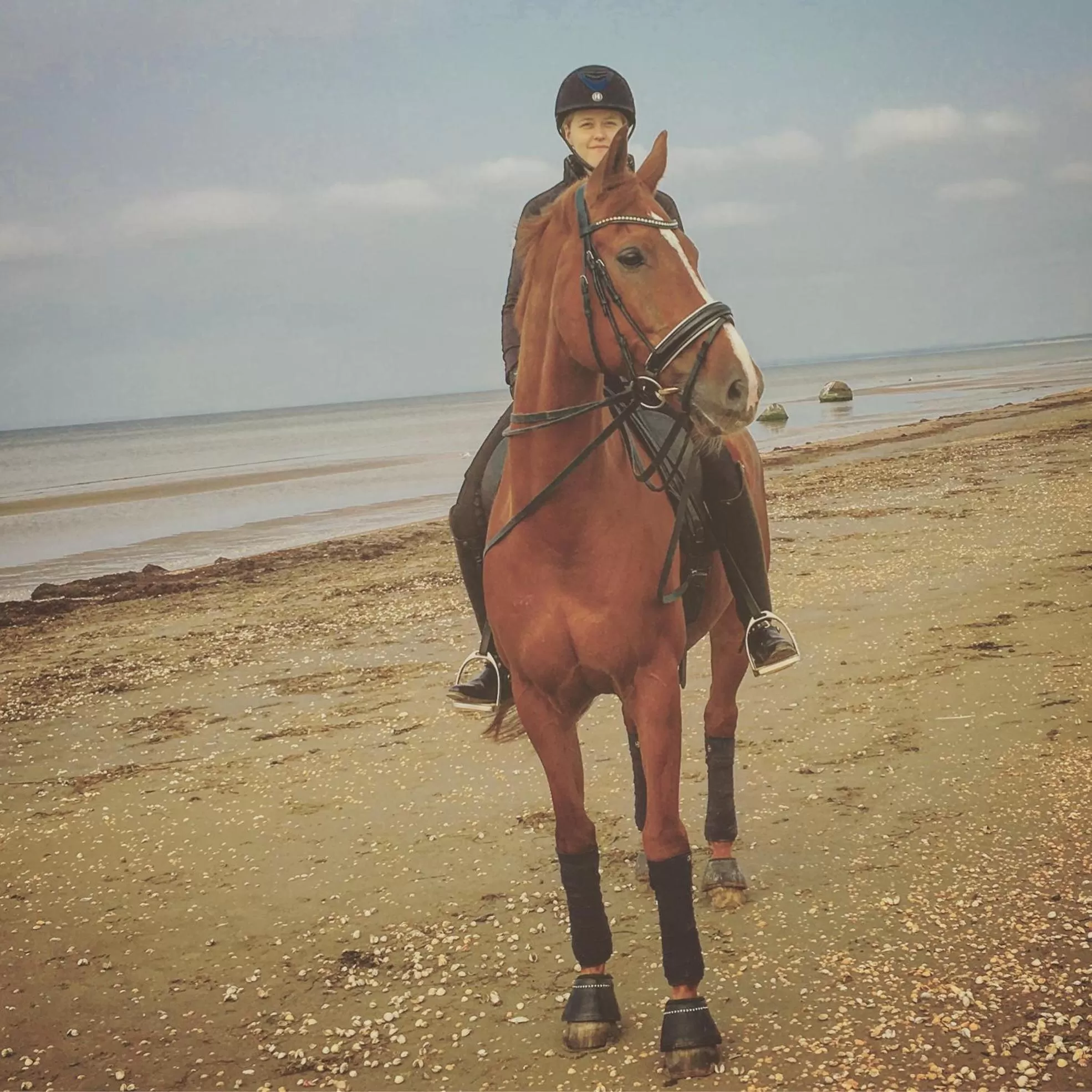 Horseback Riding in skummeslöv B & B